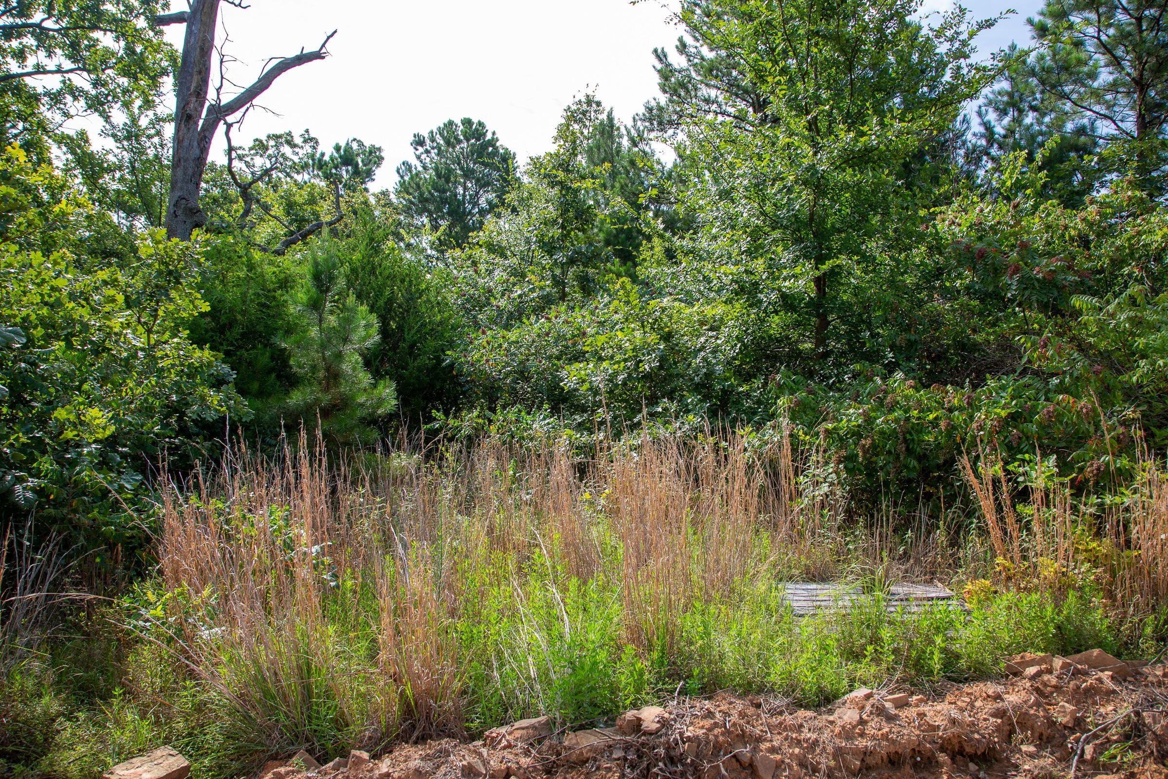 Tyler Stone Ranch Tract 46 photo 12