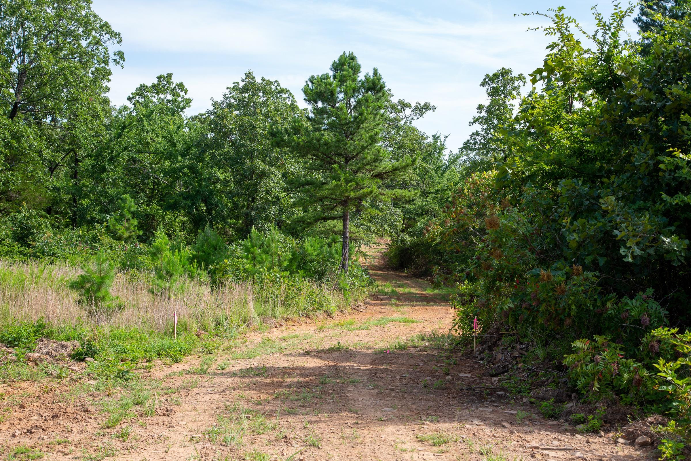 Tyler Stone Ranch Tract 46 photo 10