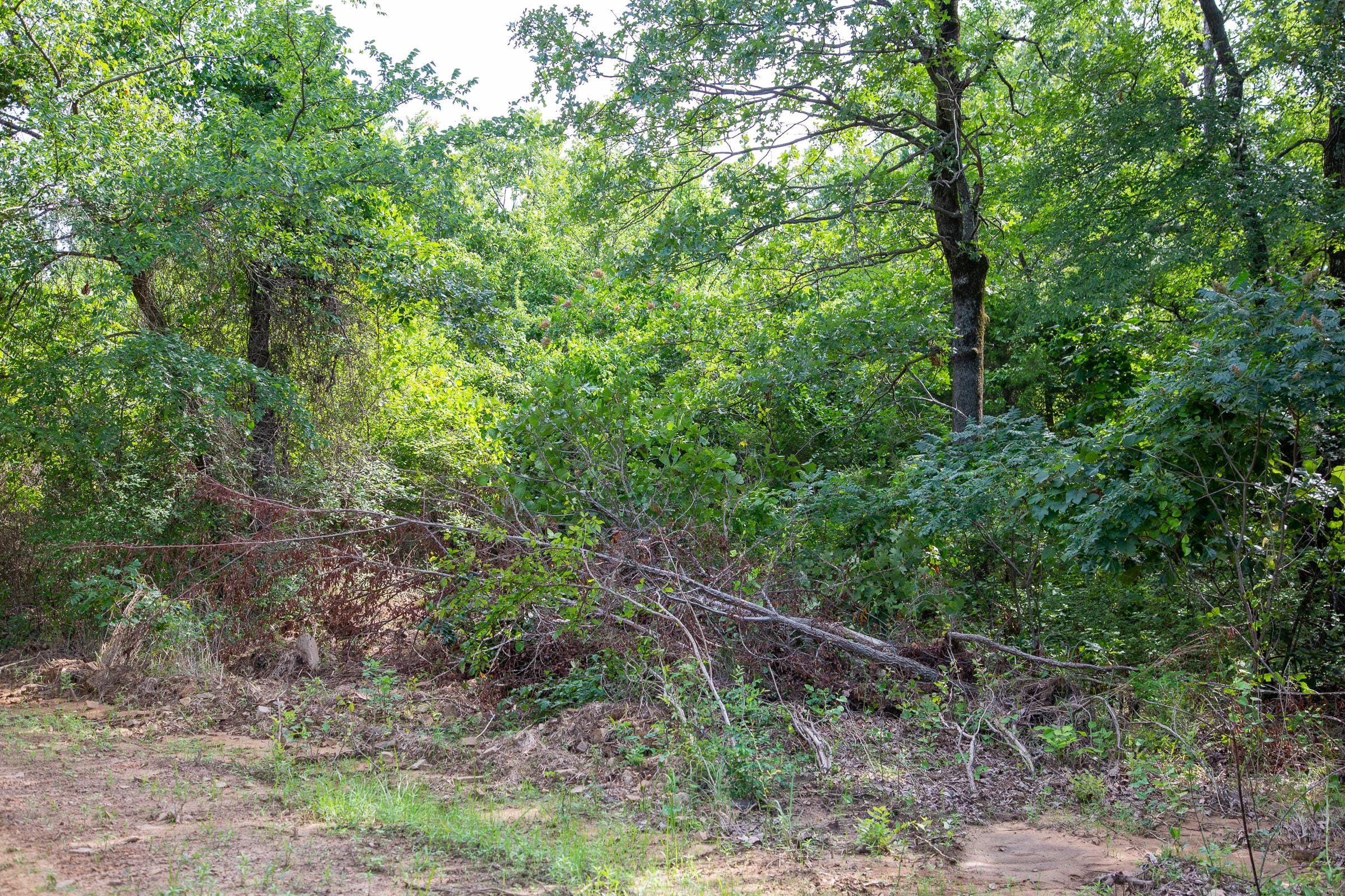 Tyler Stone Ranch Tract 46 photo 13