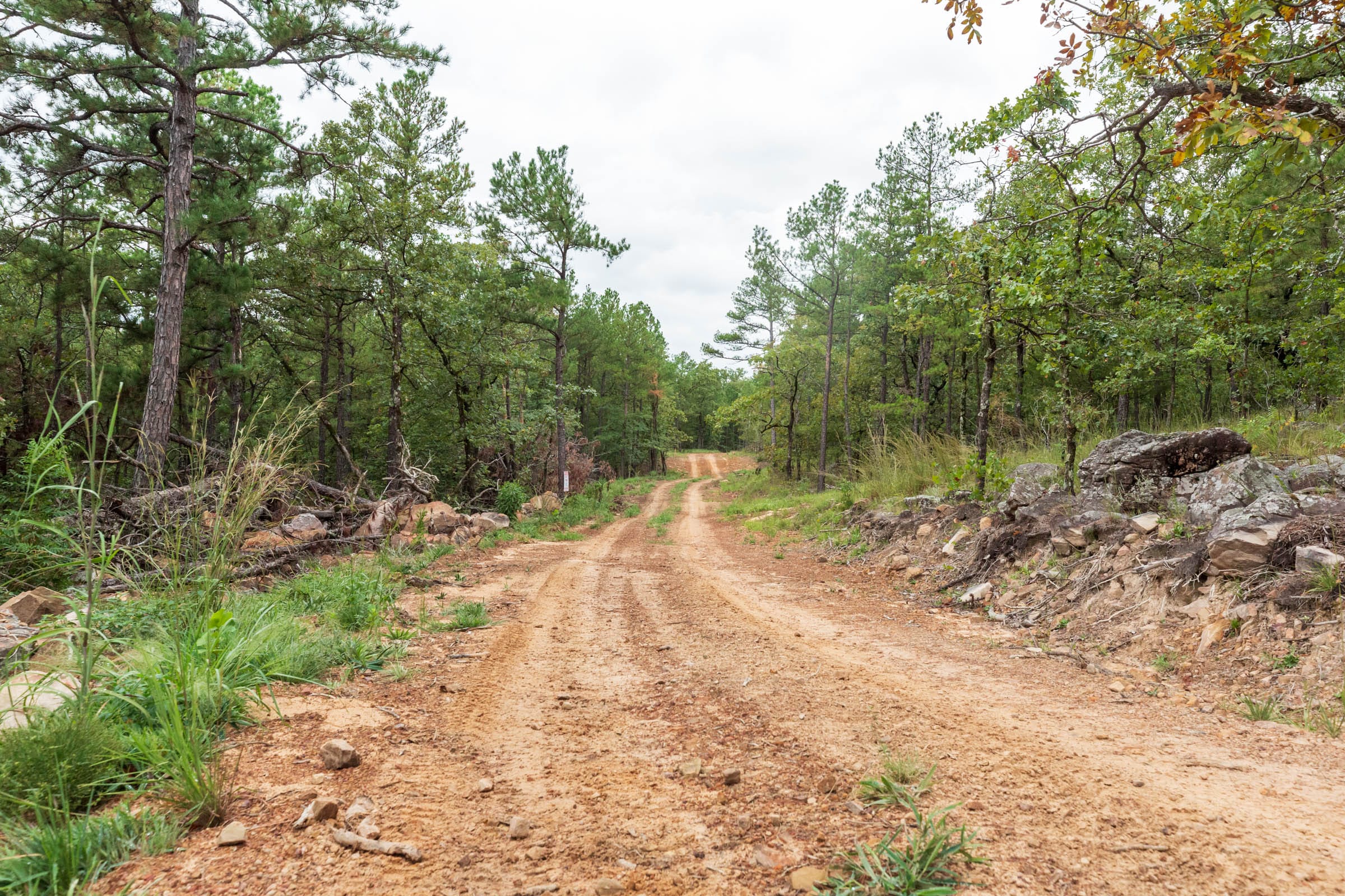 Stone Bridge Phase V Tract 422 photo 9