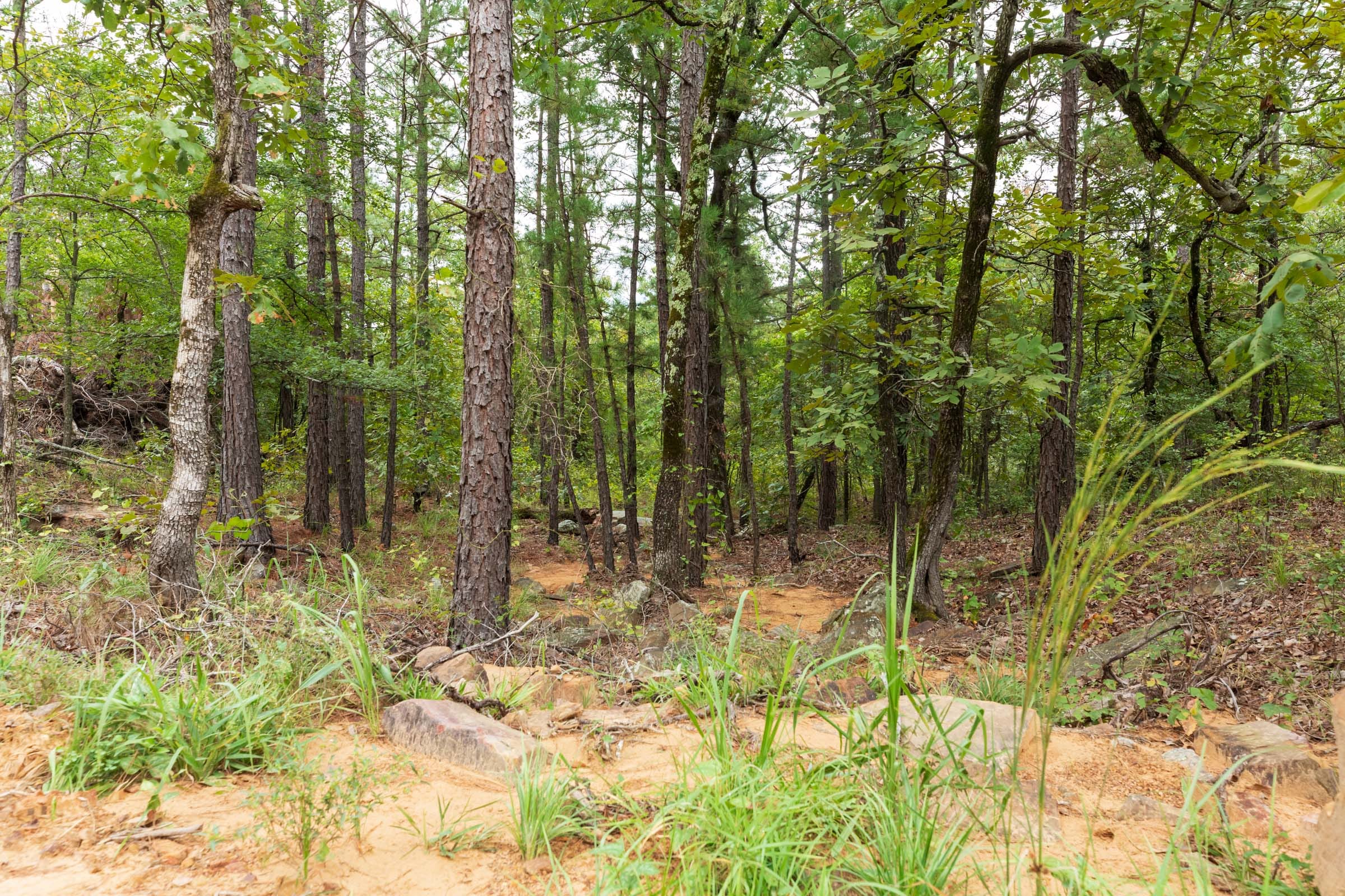 Stone Bridge Phase V Tract 422 photo 8