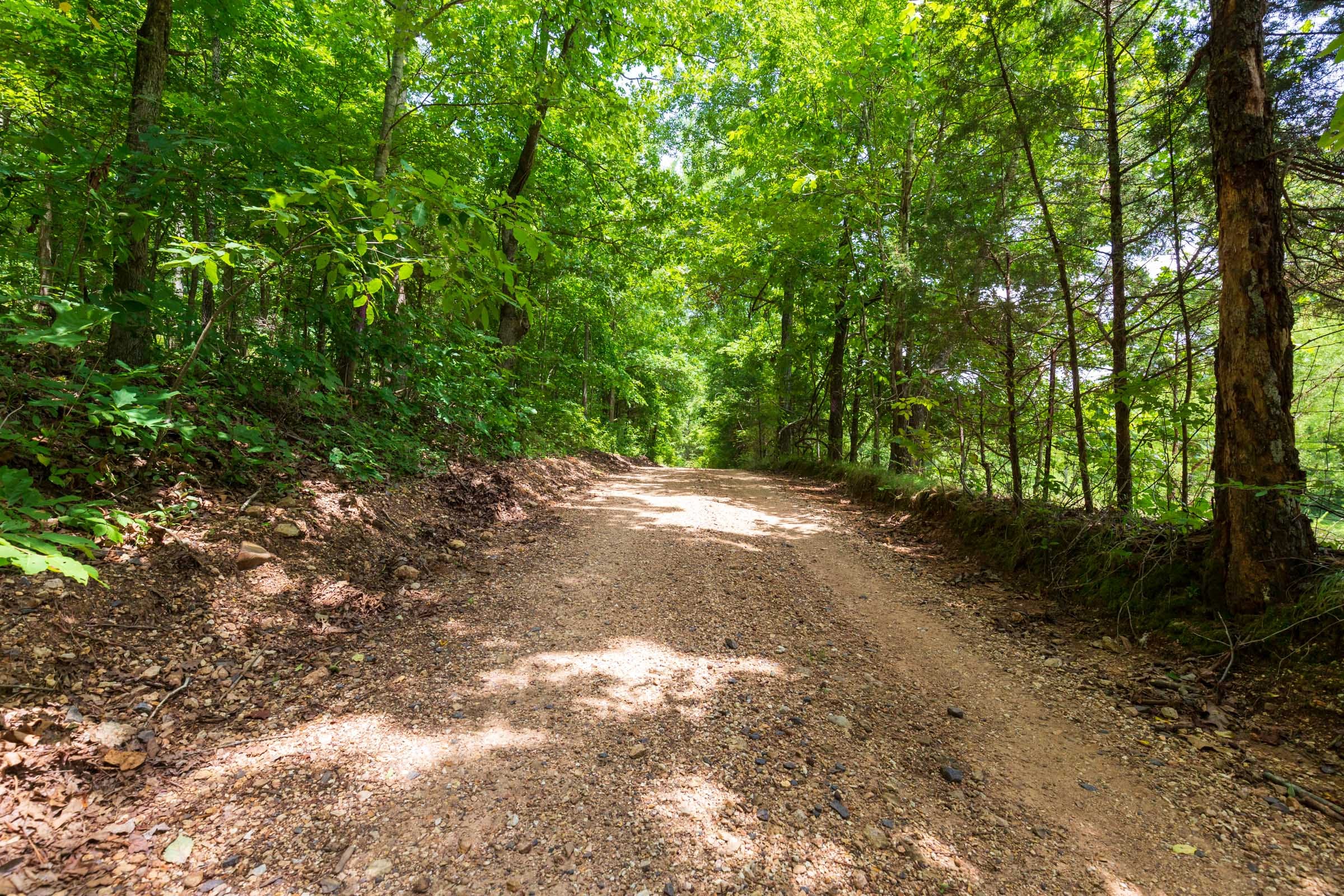 Cypress Ridge Tract 2 photo 7