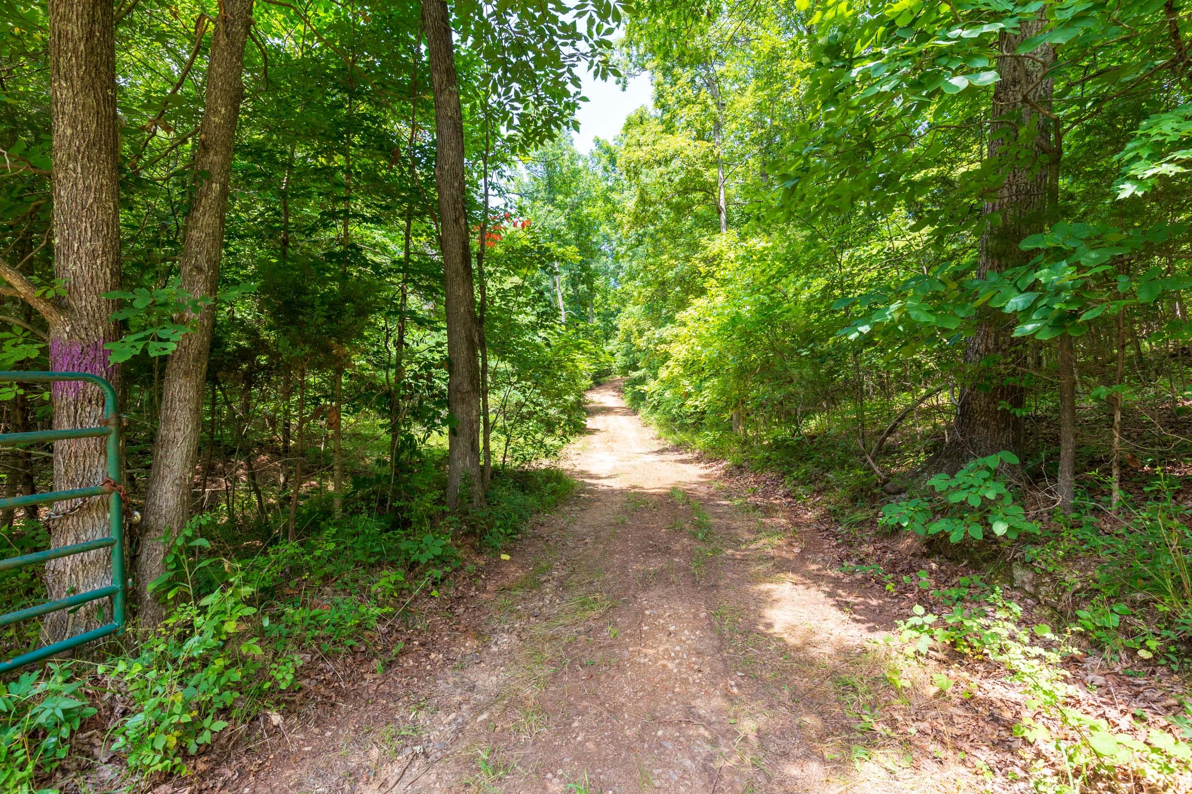Cypress Ridge Tract 2 photo 12