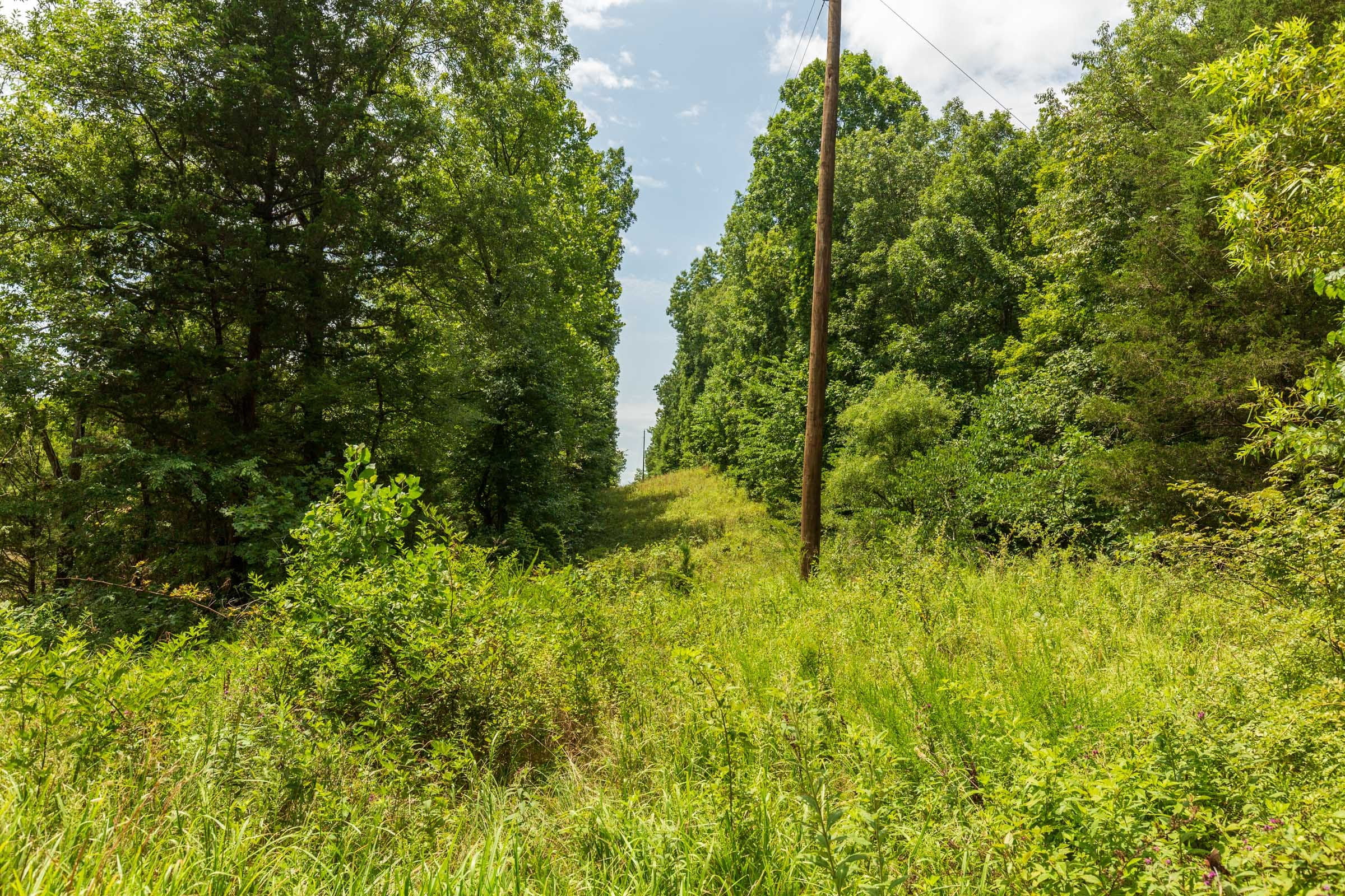 Cypress Ridge Tract 2 photo 2
