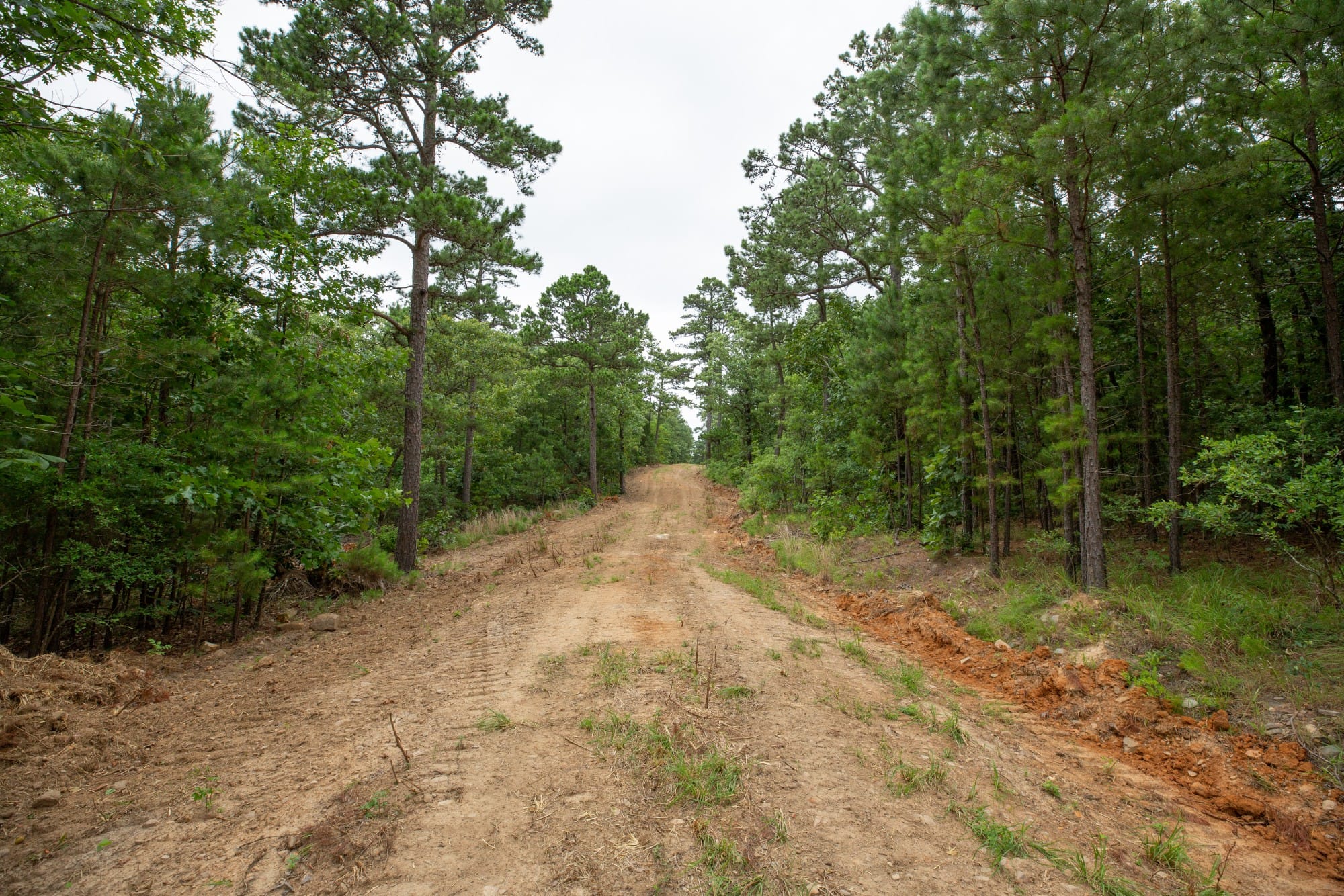 Eagle’s Nest Tract 58 photo 2