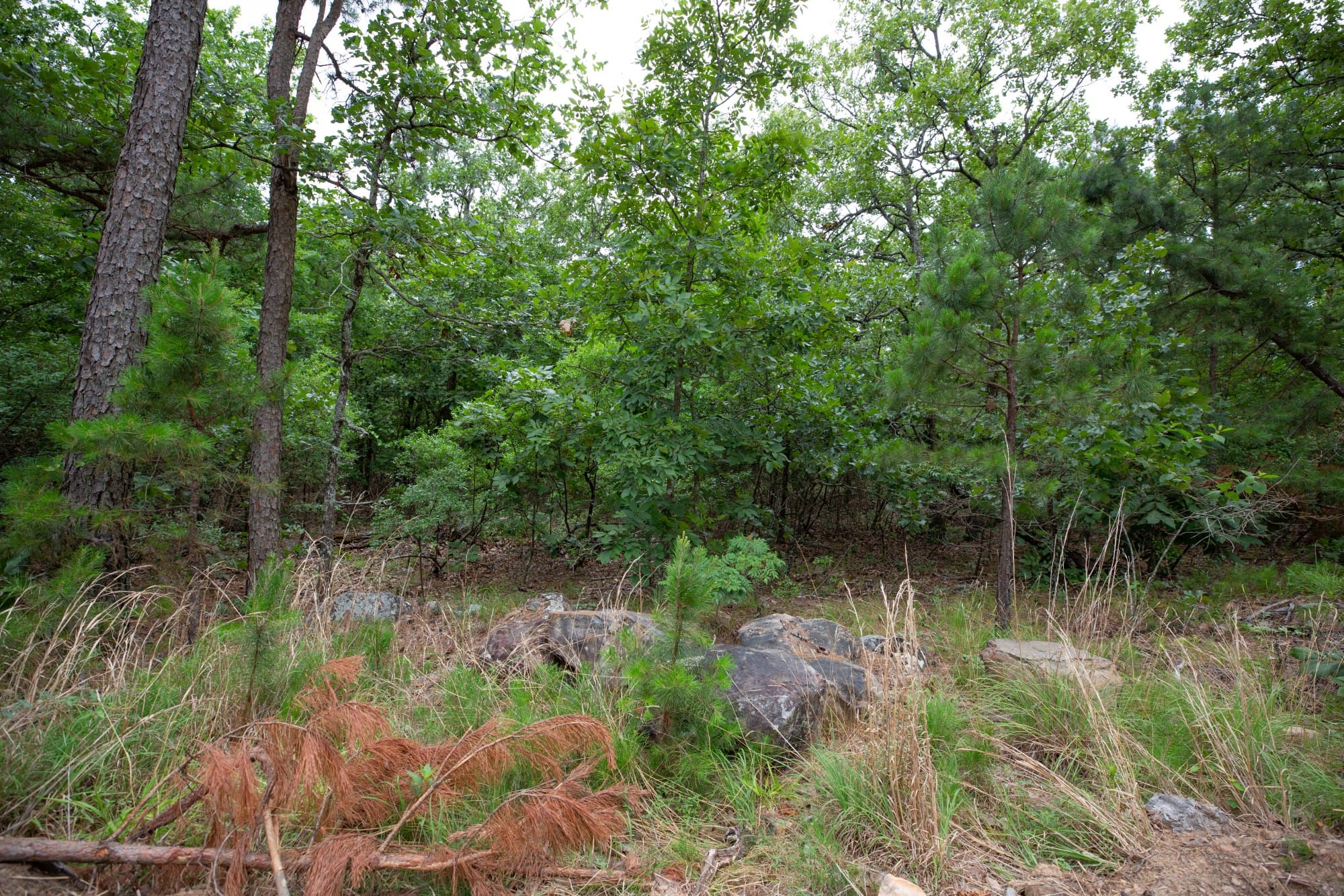 Eagle’s Nest Tract 58 photo 3