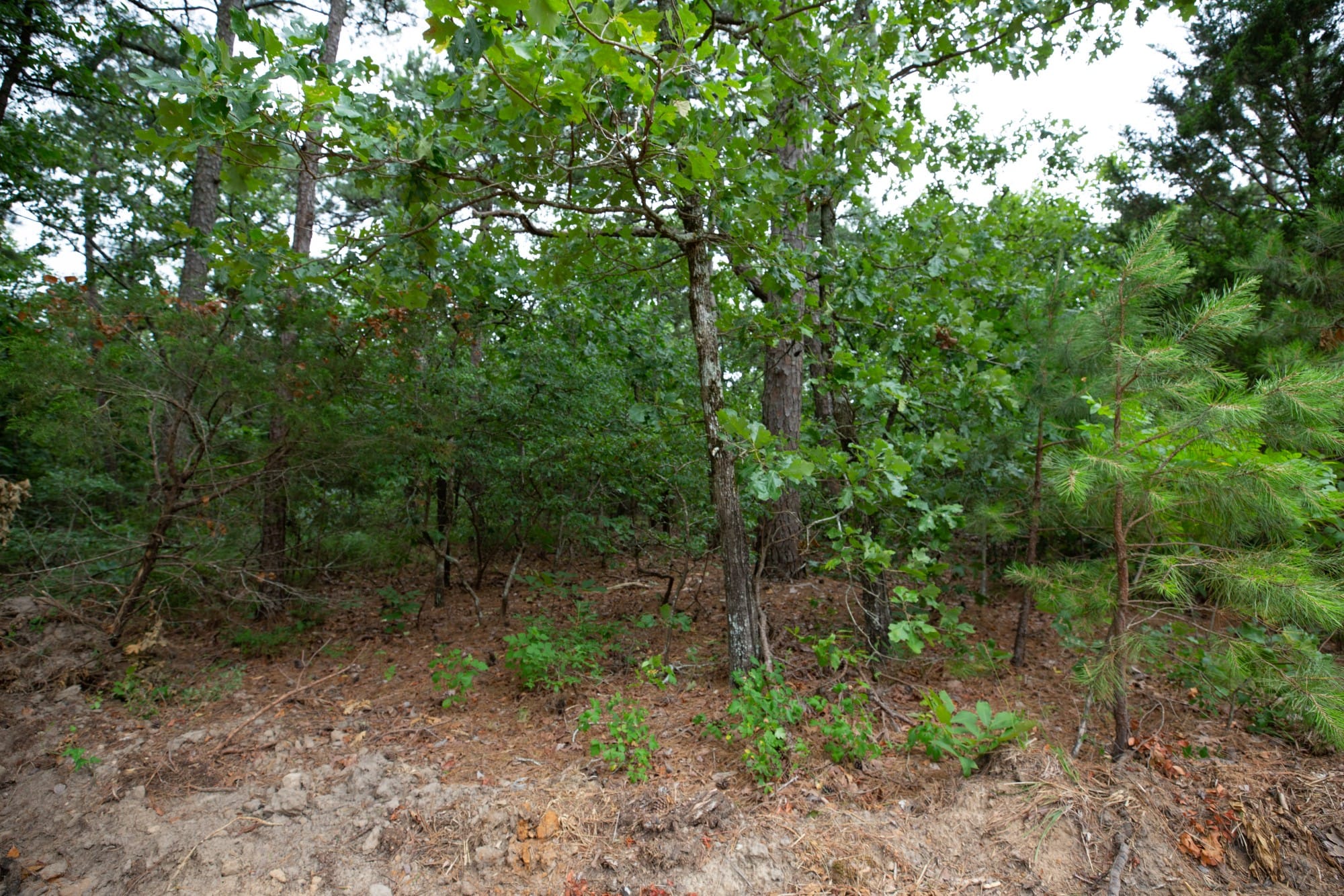 Eagle’s Nest Tract 58 photo 6