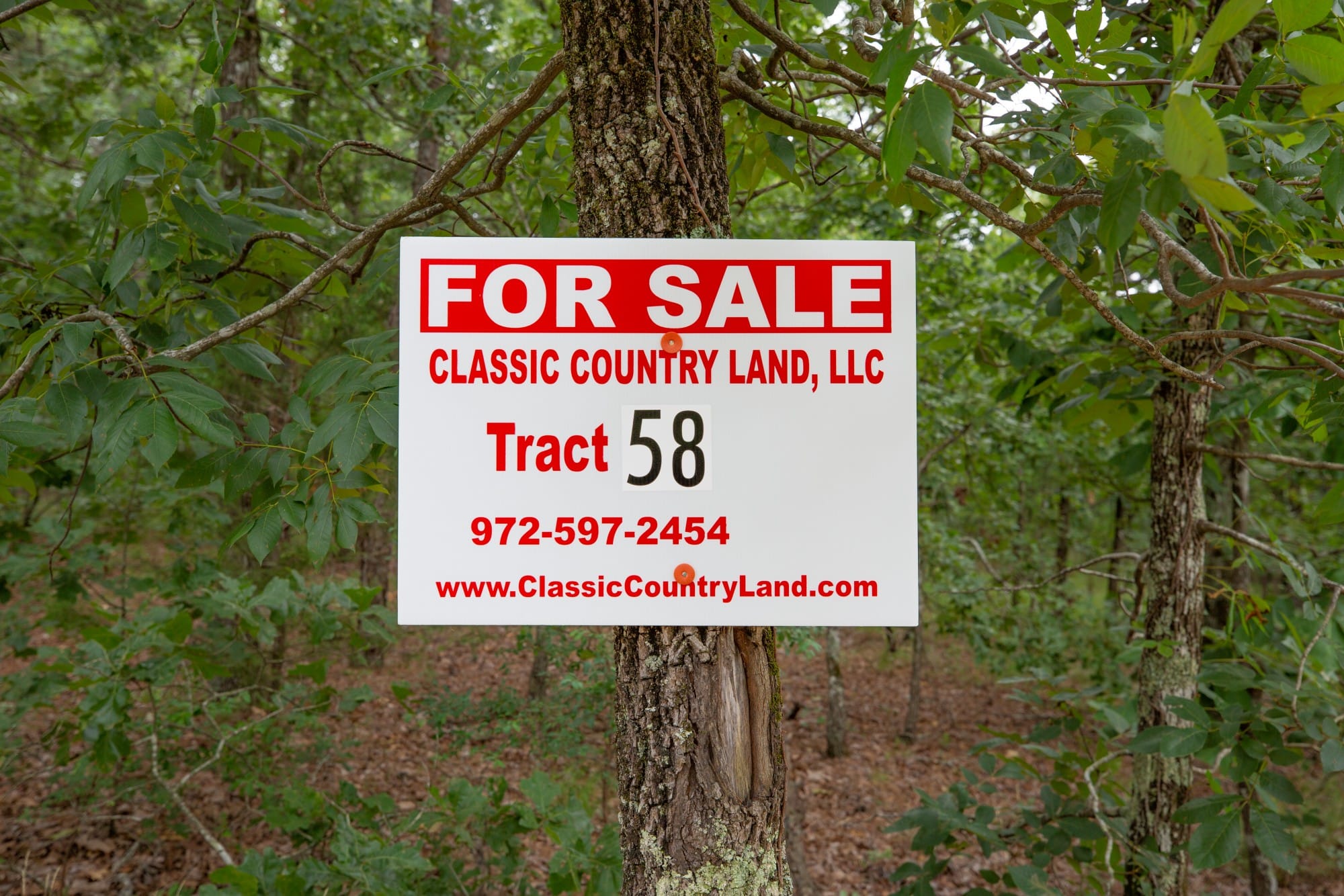 Eagle’s Nest Tract 58 photo 1