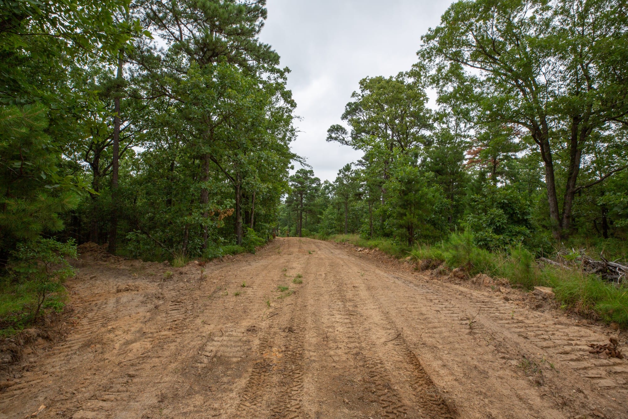 Eagle’s Nest Tract 58 photo 7