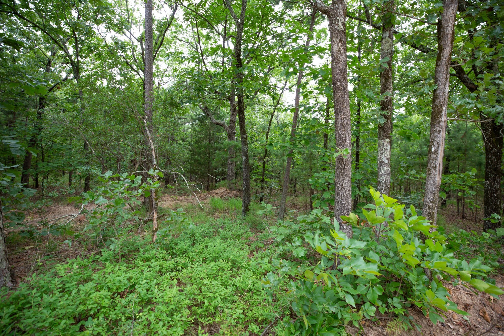 Eagle’s Nest Tract 58 photo 8