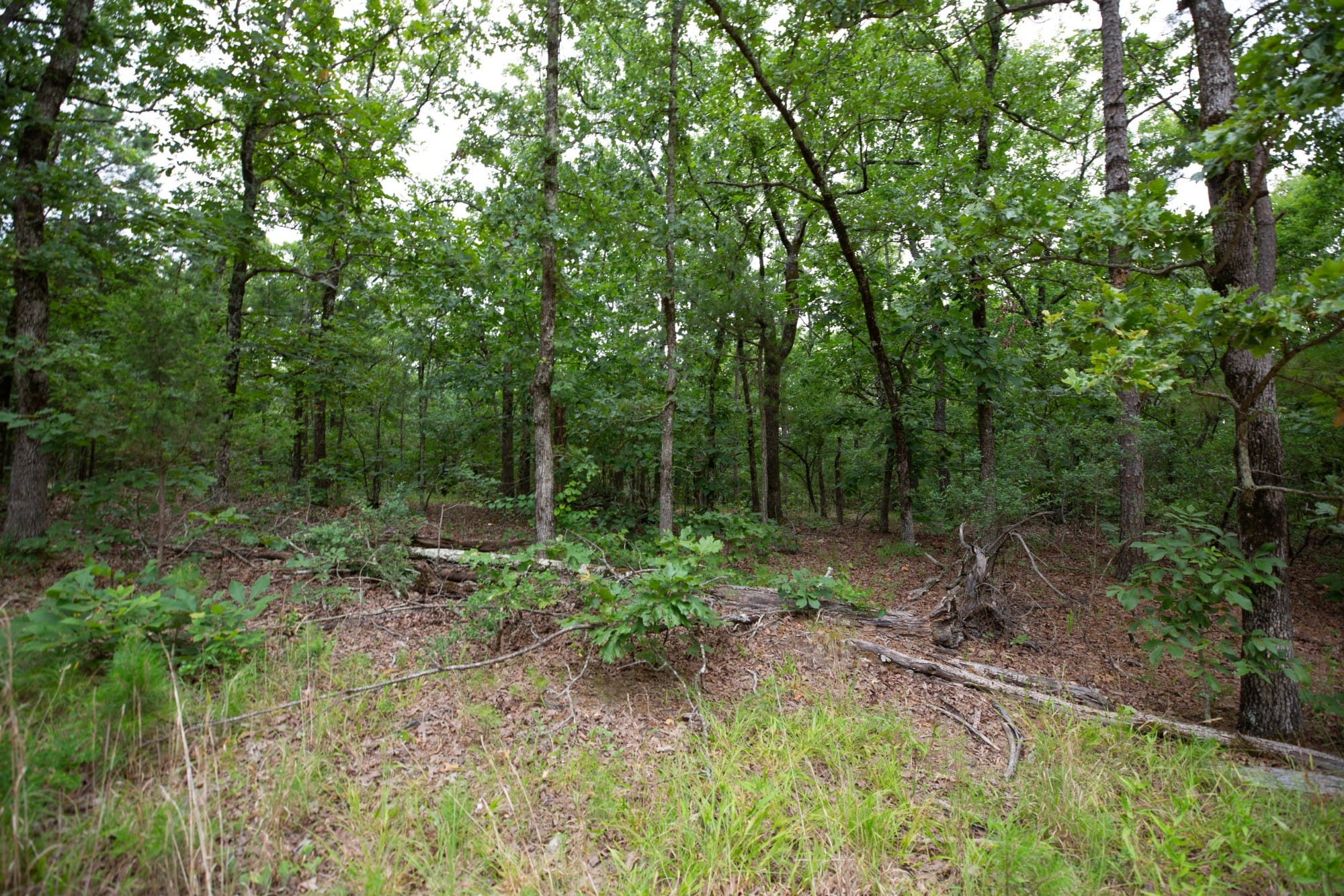 Eagle’s Nest Tract 58 photo 9