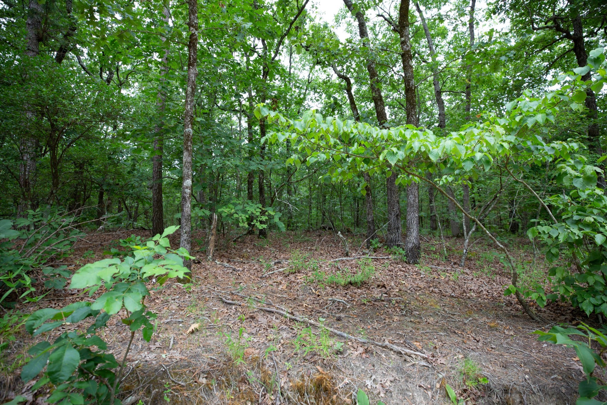 Eagle’s Nest Tract 58 photo 10