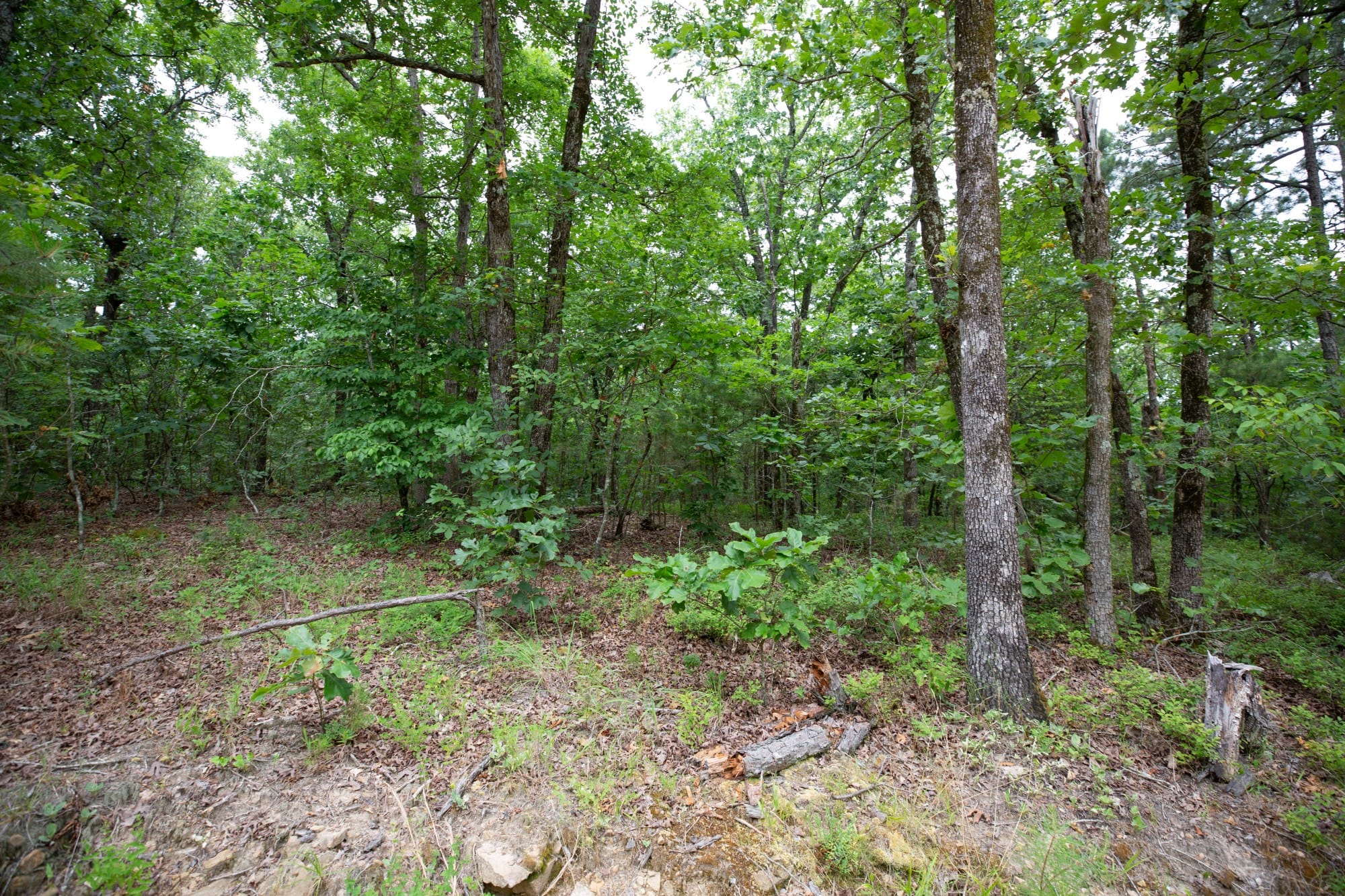 Eagle’s Nest Tract 58 photo 11