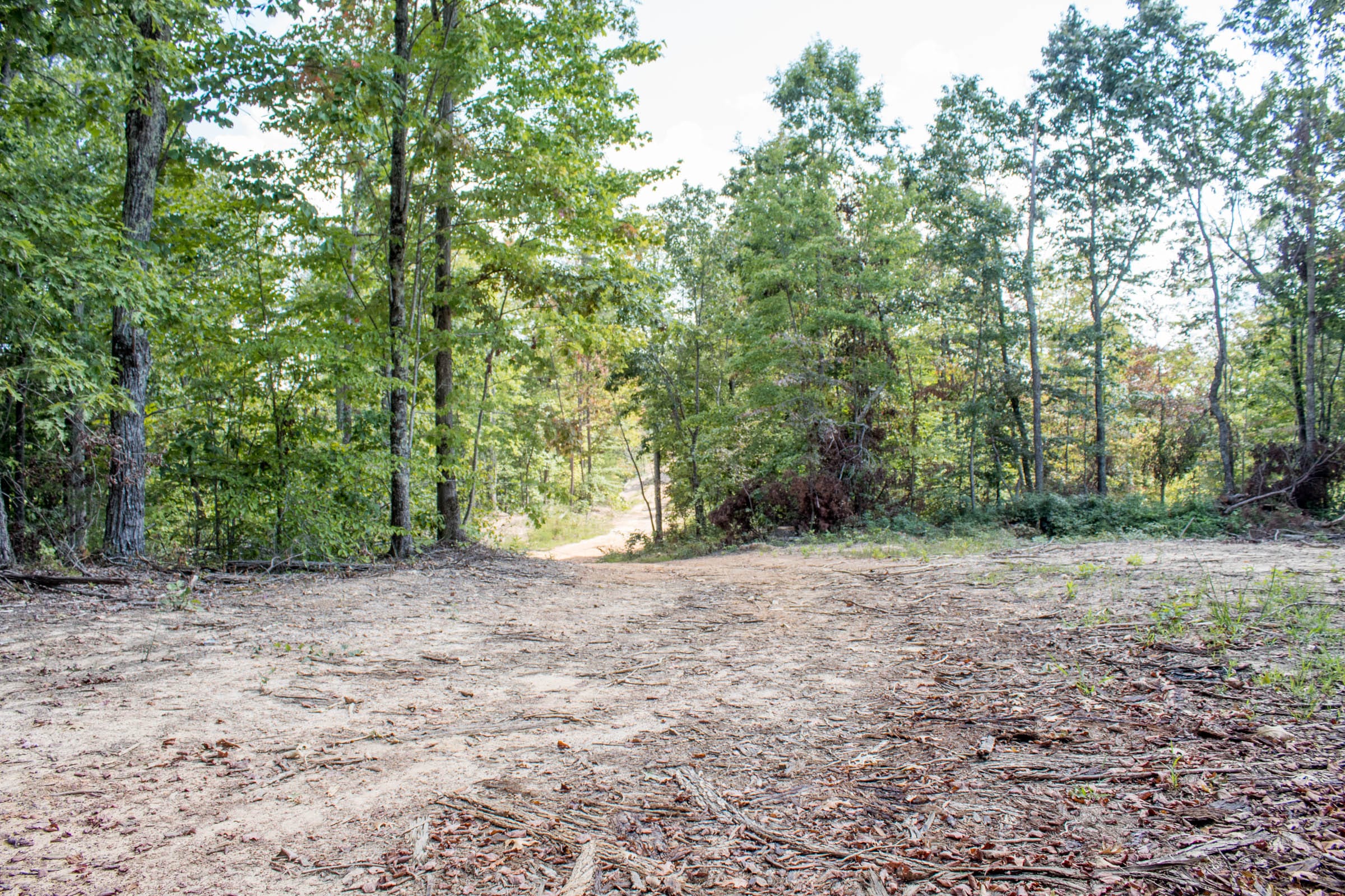 Buck Run Ridge Tract 29 photo 6