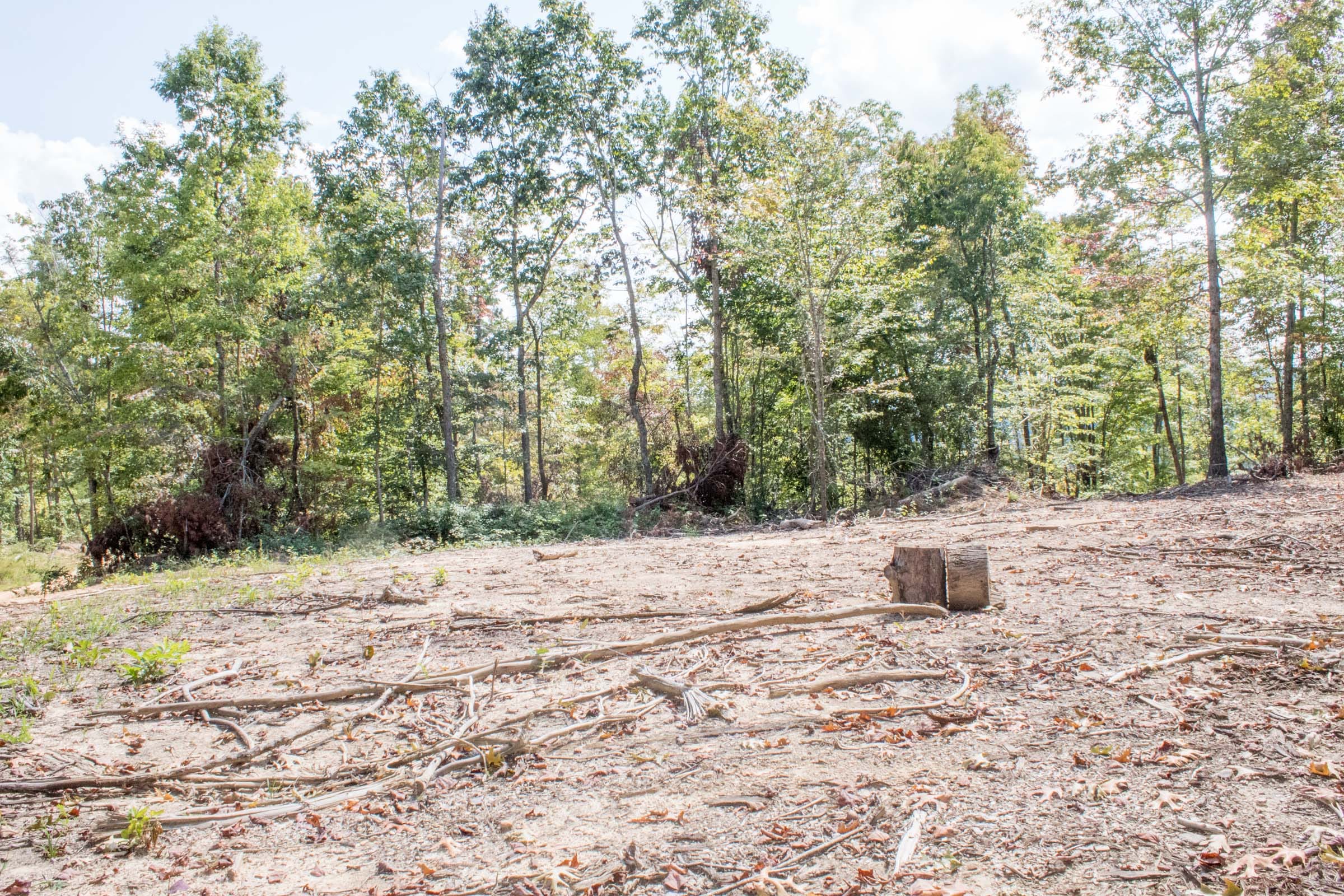 Buck Run Ridge Tract 29 photo 7