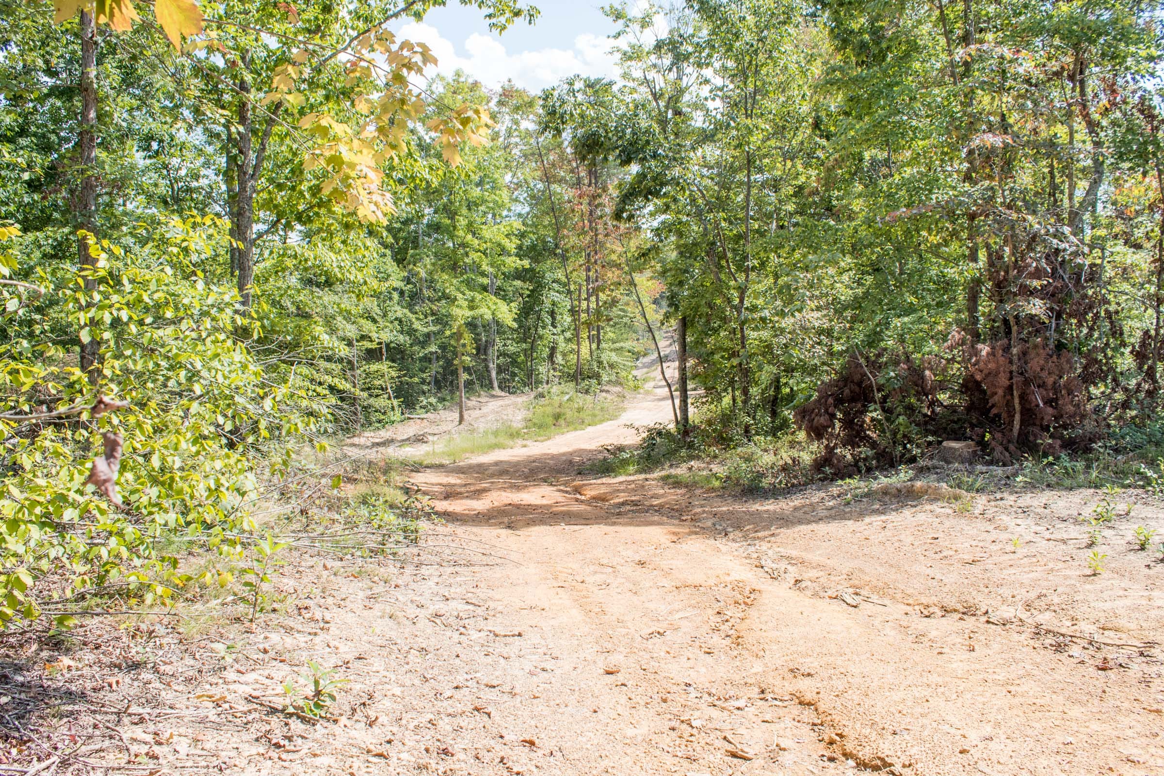 Buck Run Ridge Tract 29 photo 8