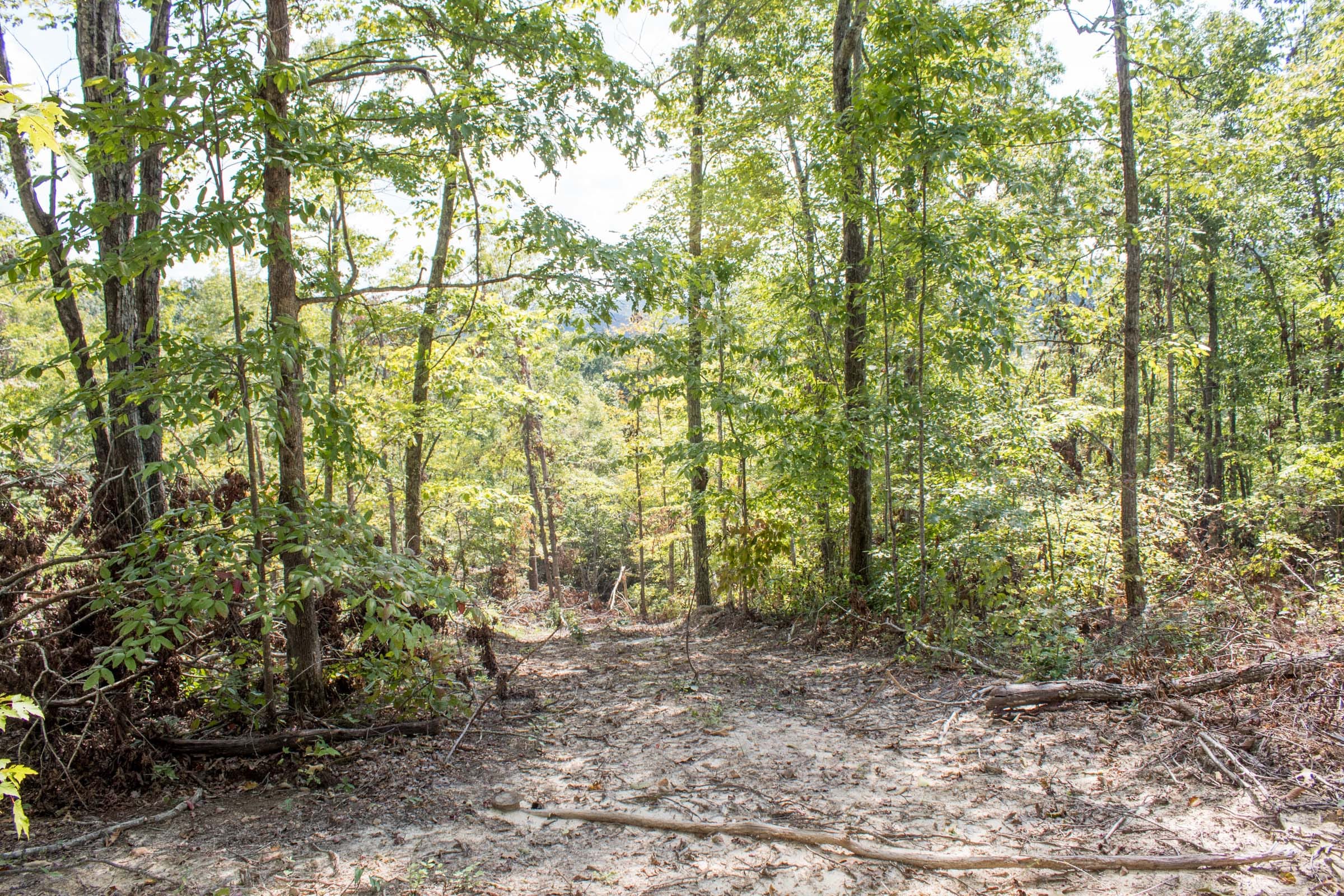 Buck Run Ridge Tract 29 photo 13