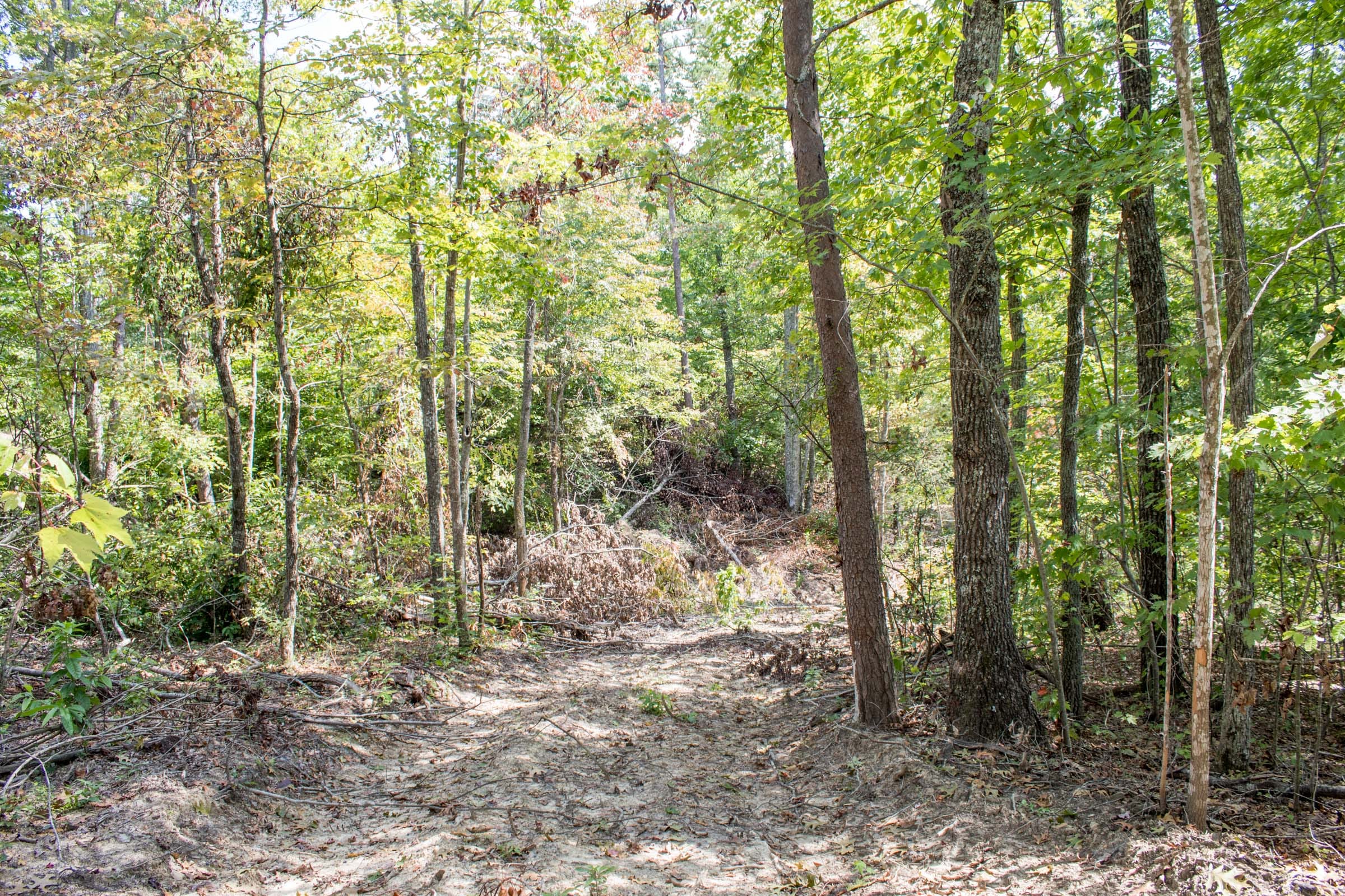 Buck Run Ridge Tract 29 photo 14