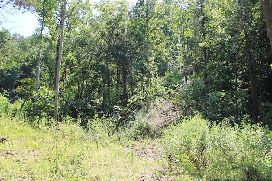 Cumberland Ridge Ranch Tract 2 photo 5