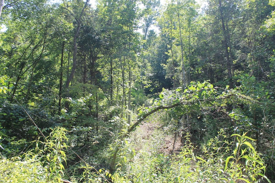 Cumberland Ridge Ranch Tract 2 photo 9