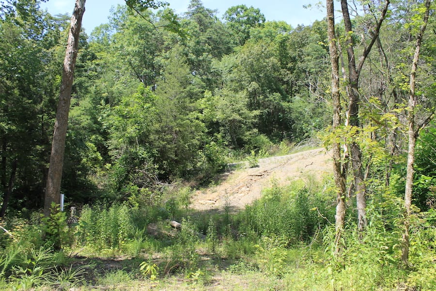 Cumberland Ridge Ranch Tract 2 photo 11