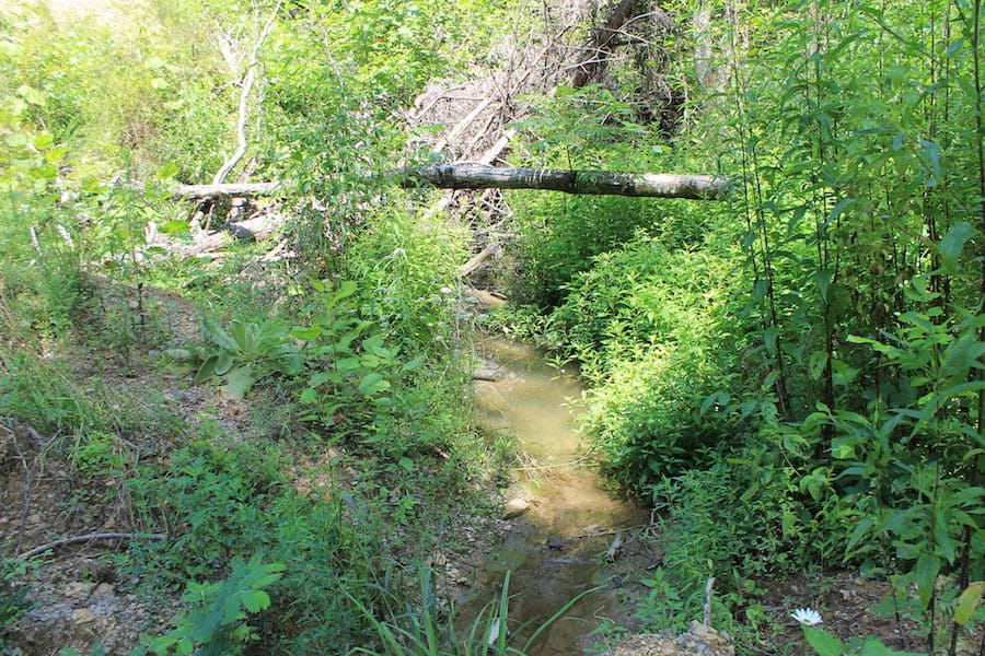 Cumberland Ridge Ranch Tract 2 photo 12