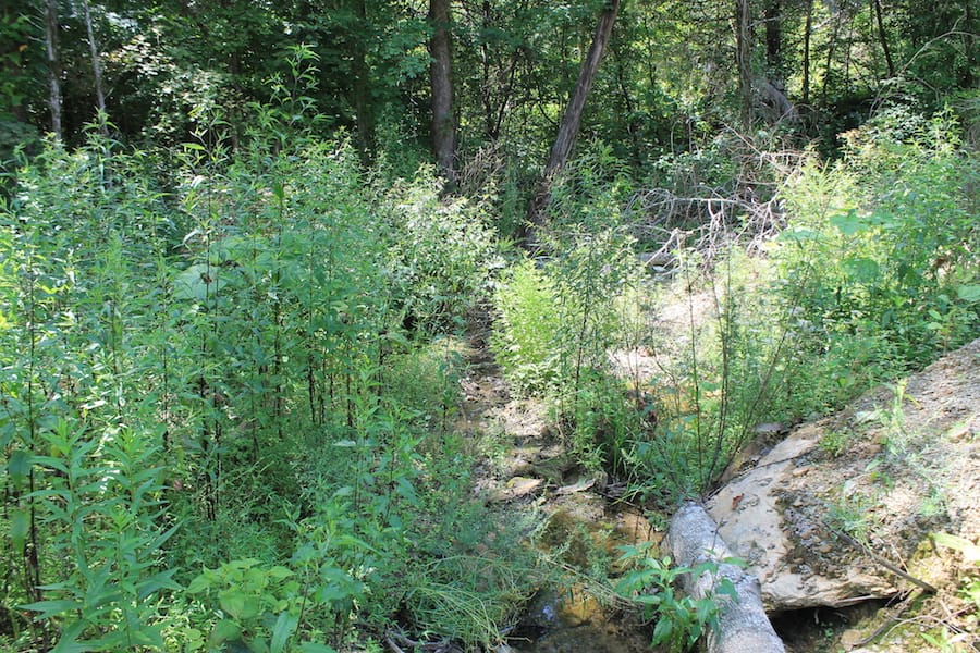 Cumberland Ridge Ranch Tract 2 photo 13