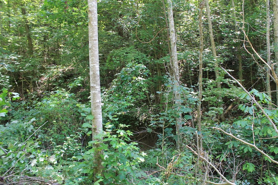 Cumberland Ridge Ranch Tract 2 photo 16