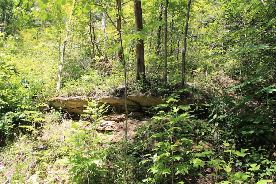 Cumberland Ridge Ranch Tract 2 photo 17