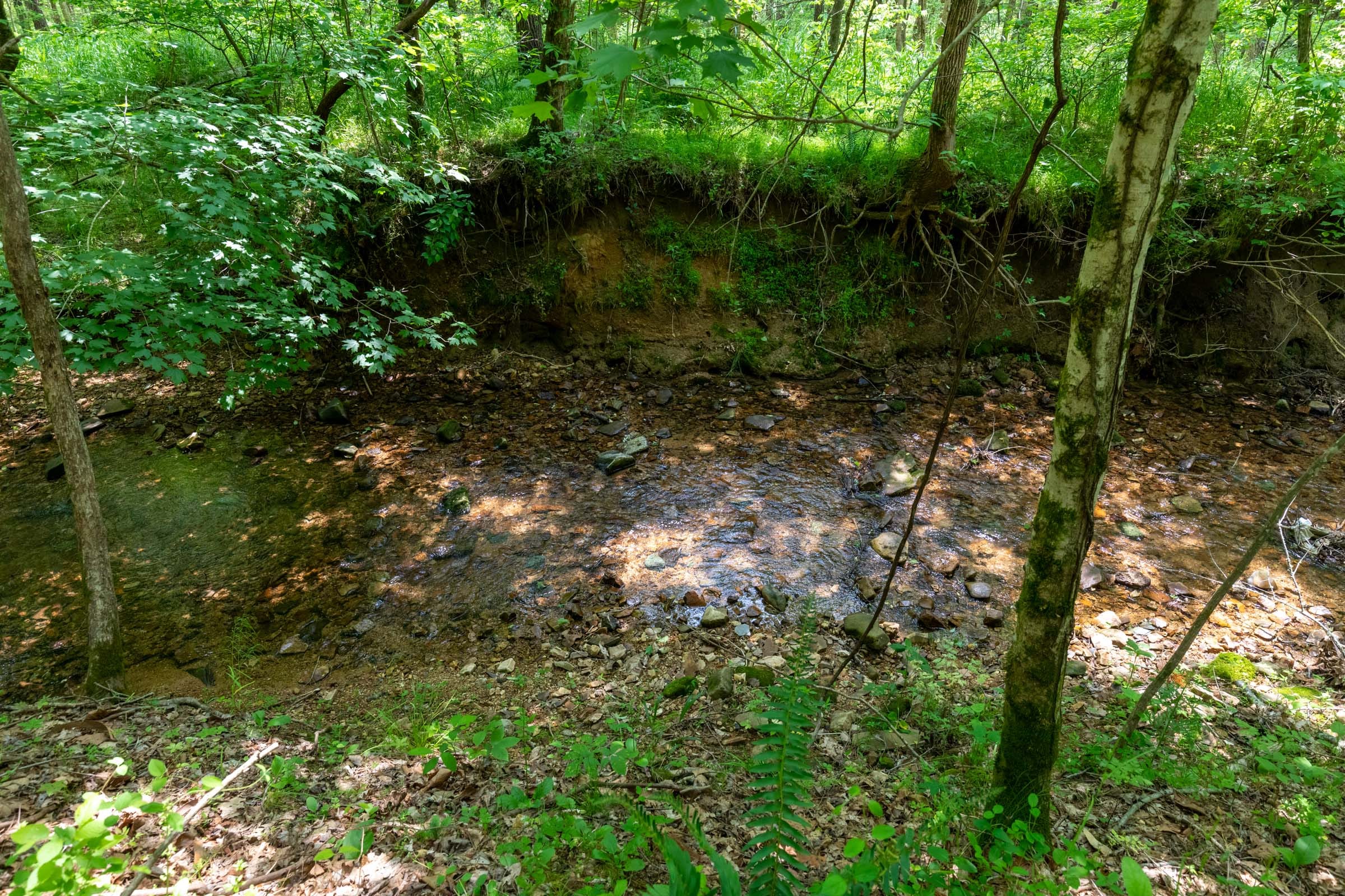 Cedar Creek Tract 34 photo 3