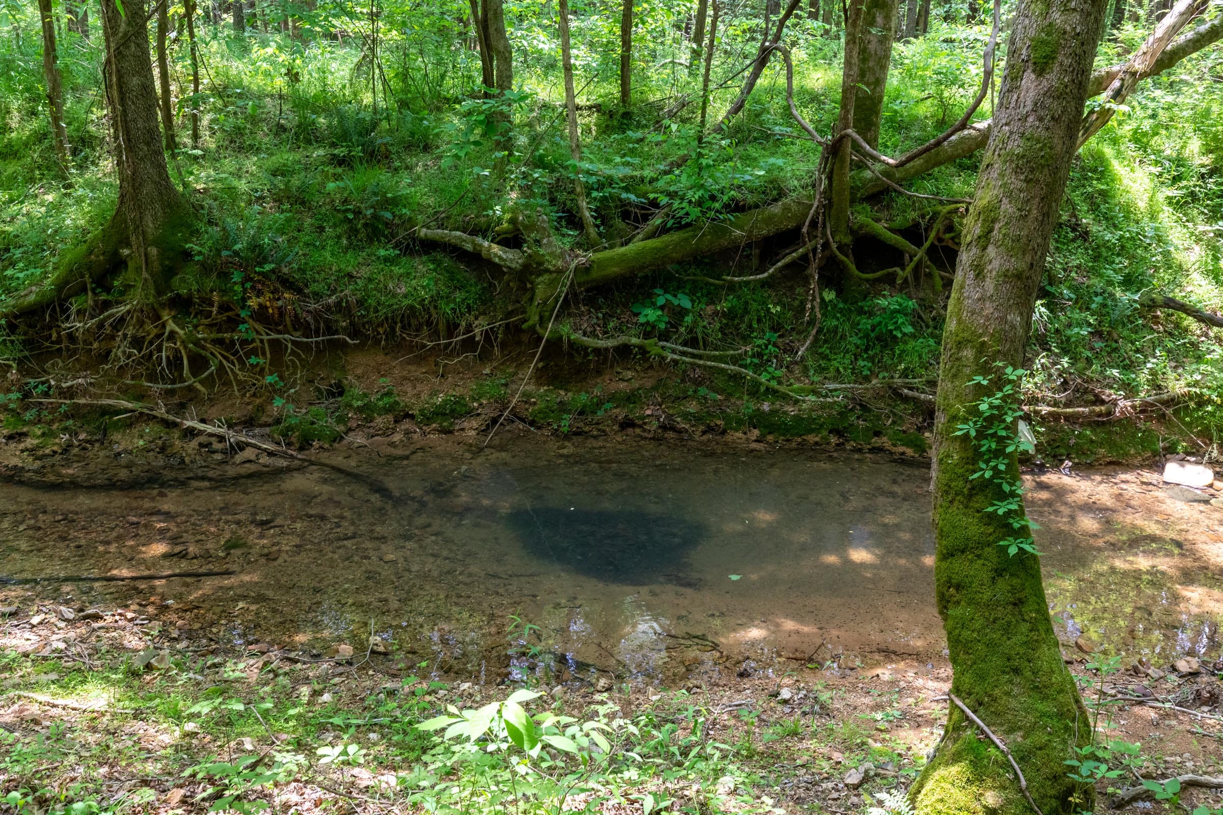 Cedar Creek Tract 34 photo 2