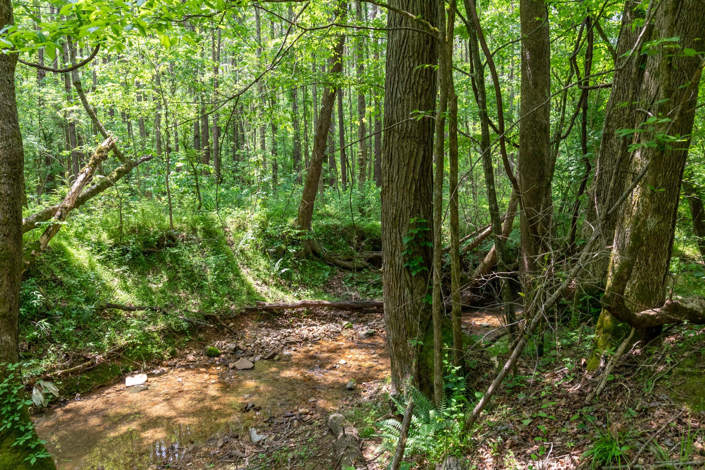 Cedar Creek Tract 34 photo 11