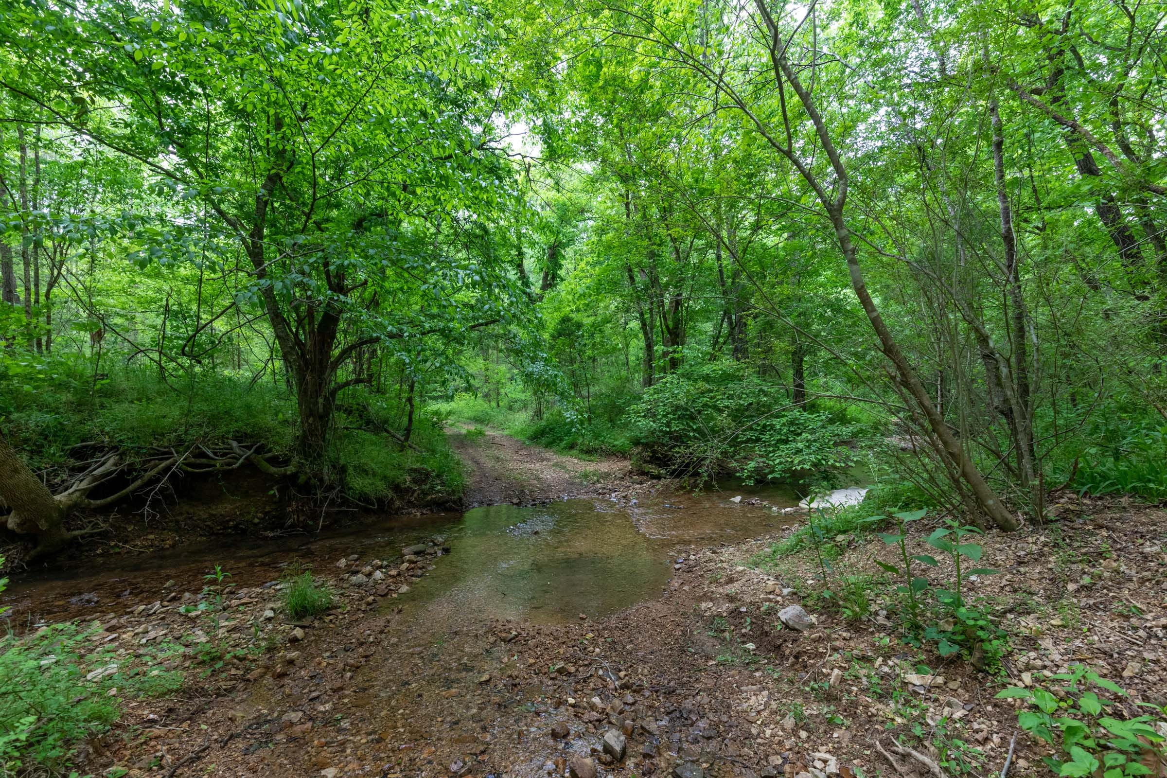 Cedar Creek Tract 34 photo 10