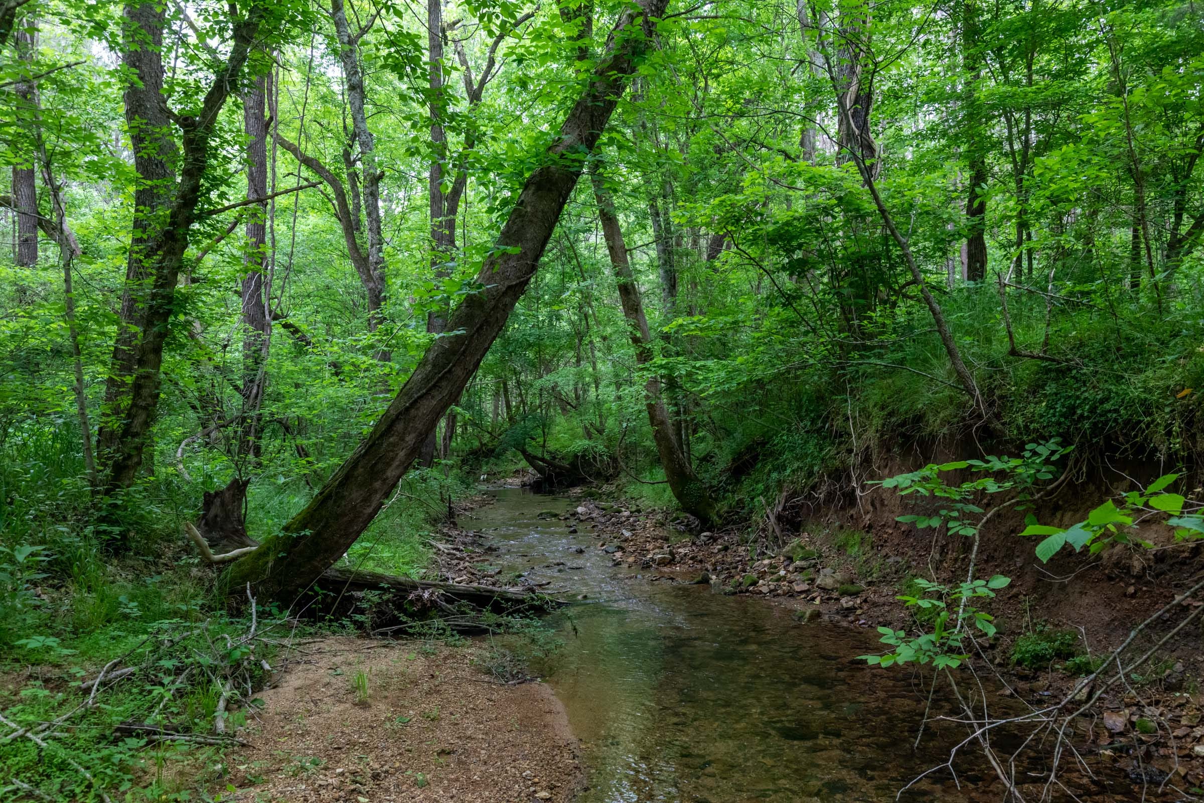Cedar Creek Tract 34 photo 14