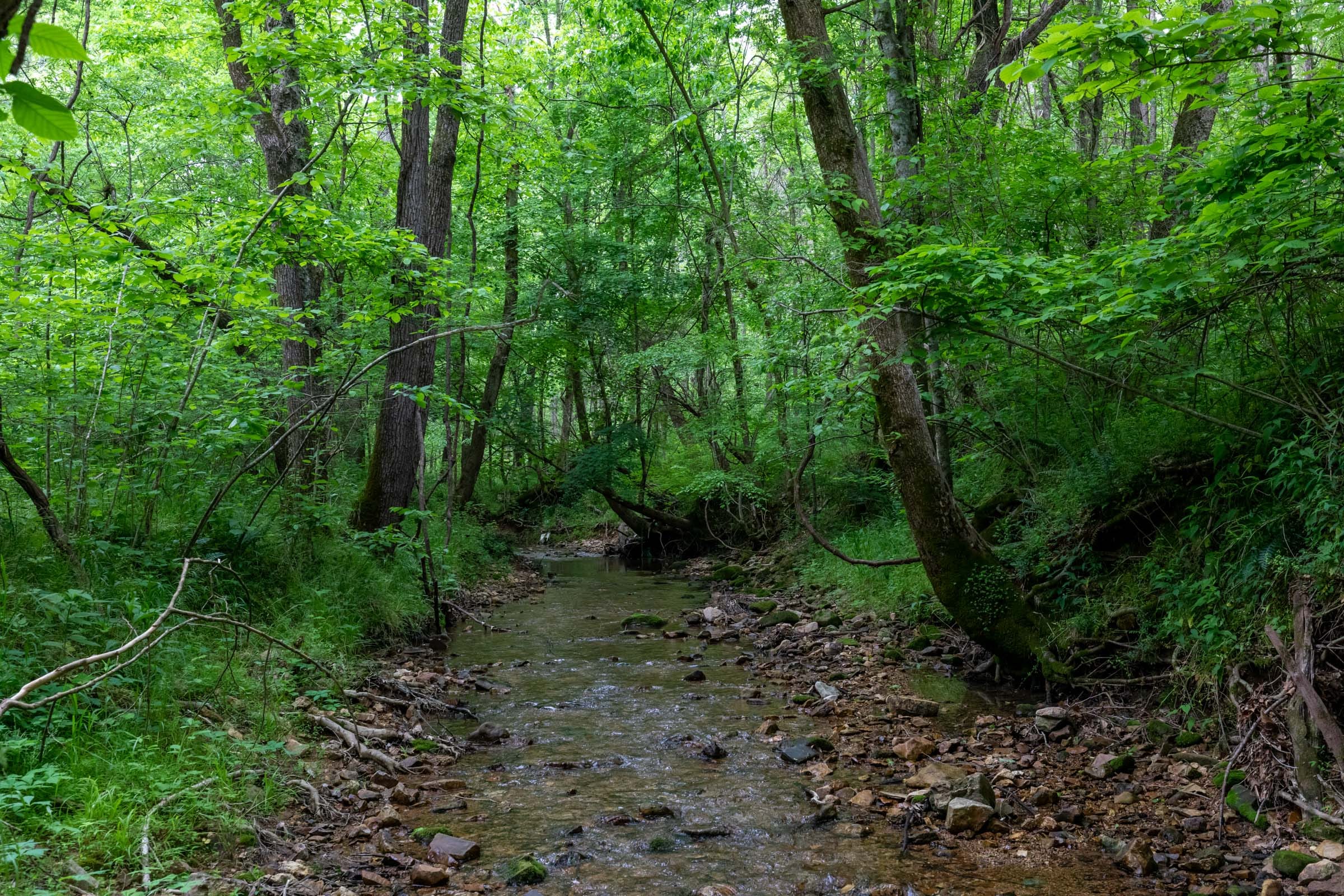 Cedar Creek Tract 34 photo 4