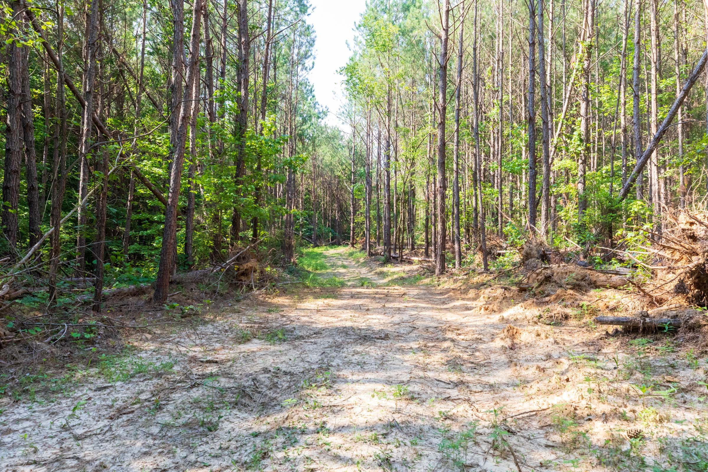 Whiskey Ridge Tract 112 photo 1