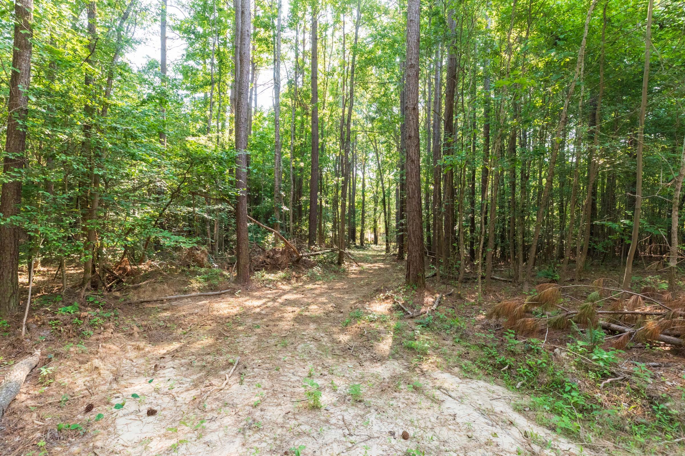 Whiskey Ridge Tract 112 photo 5