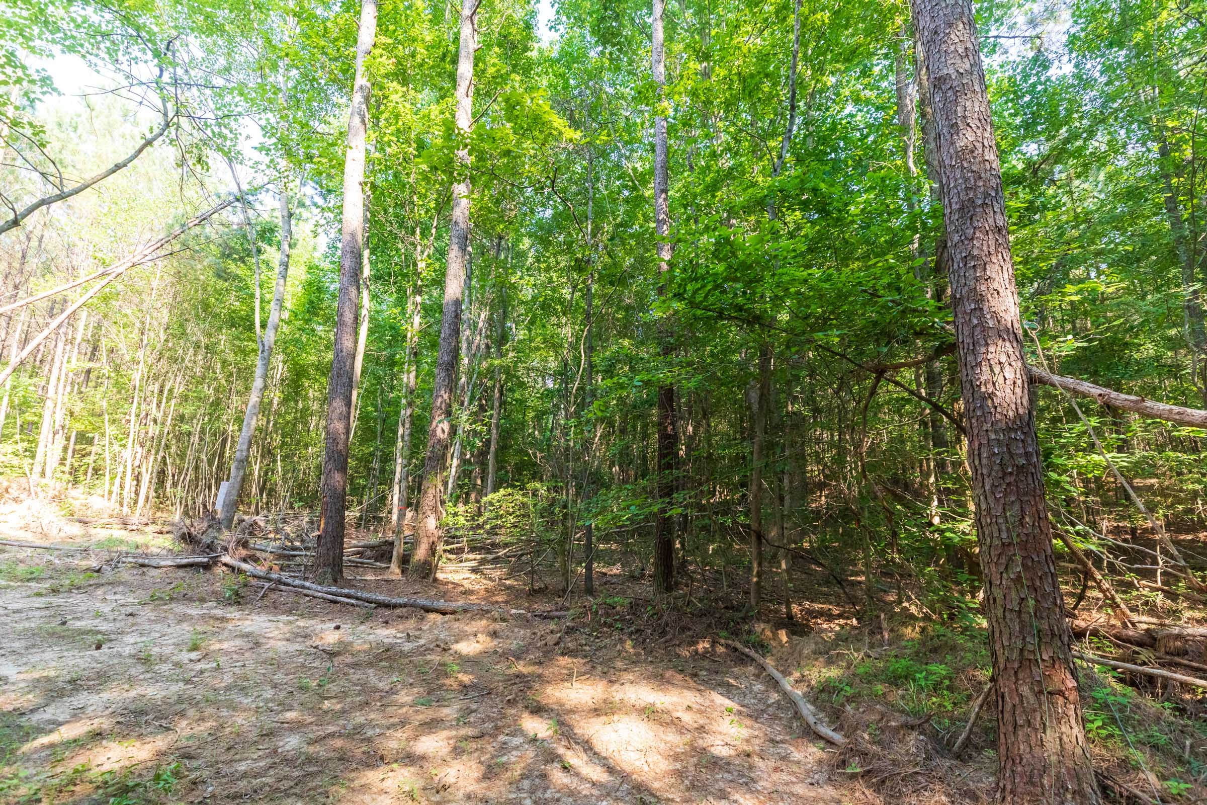 Whiskey Ridge Tract 112 photo 9