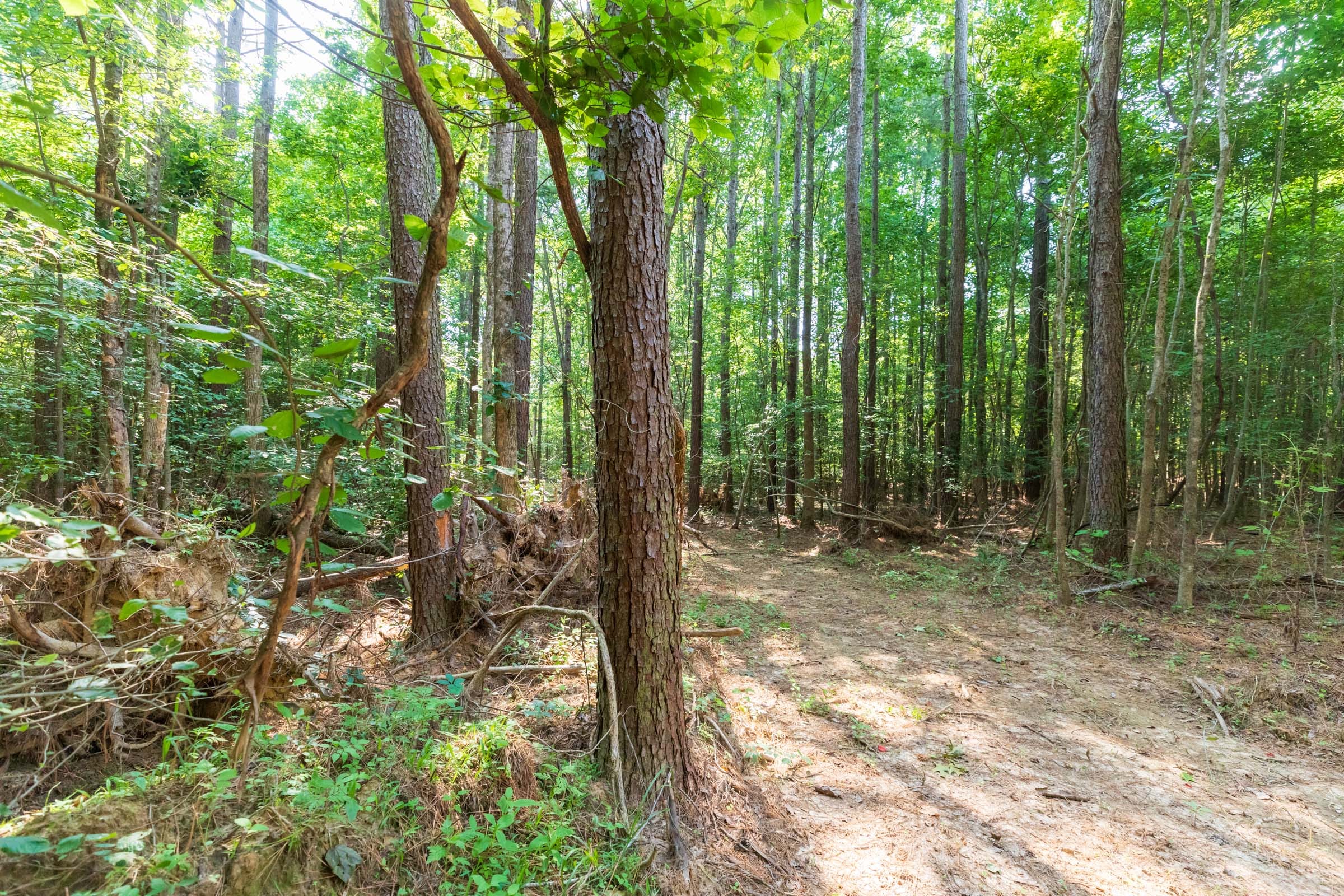 Whiskey Ridge Tract 112 photo 10