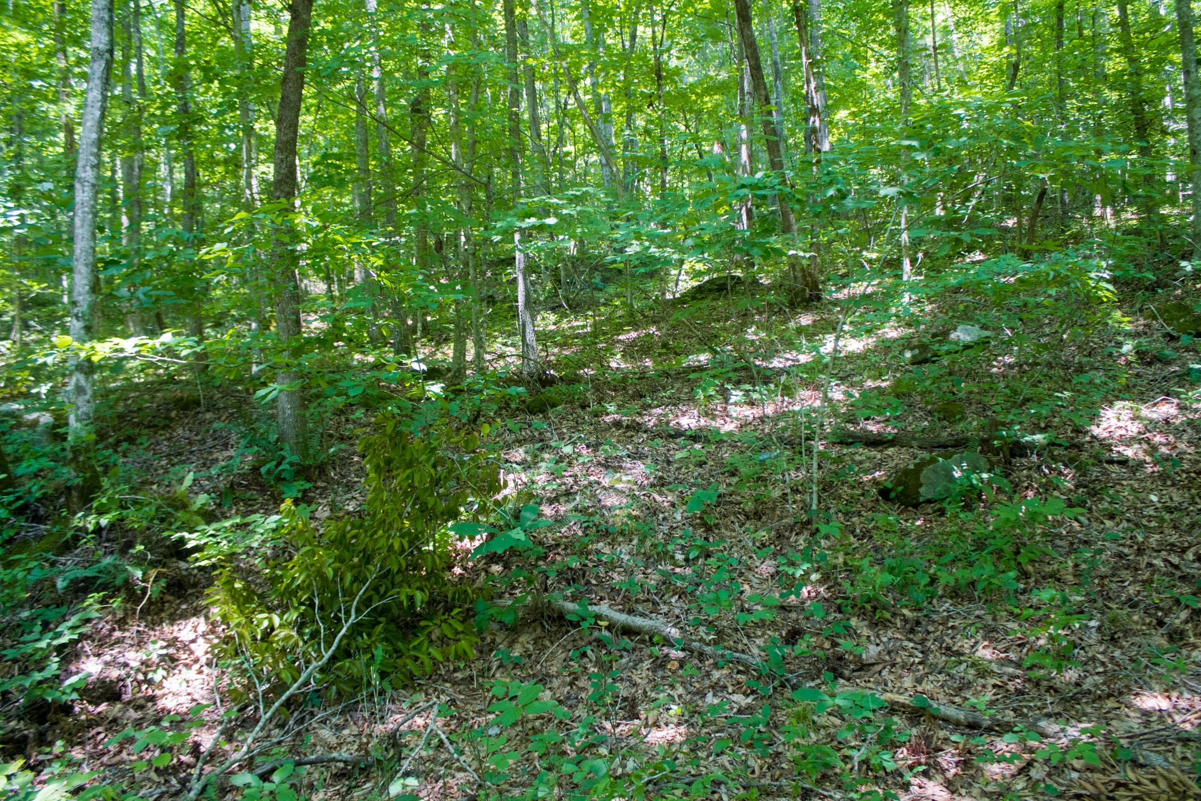 Bluewater Ridge Tract 4 photo 1