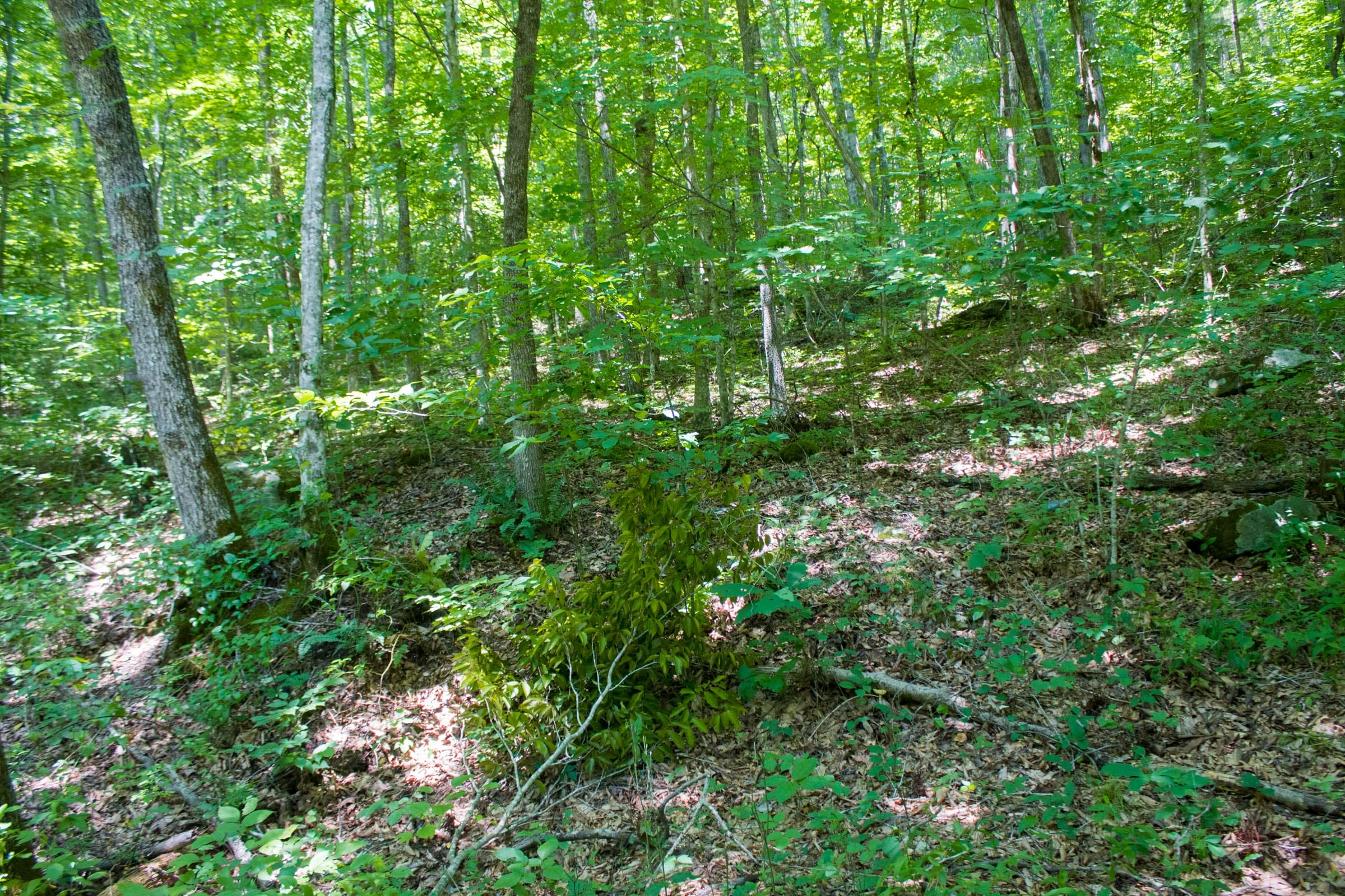 Bluewater Ridge Tract 4 photo 2