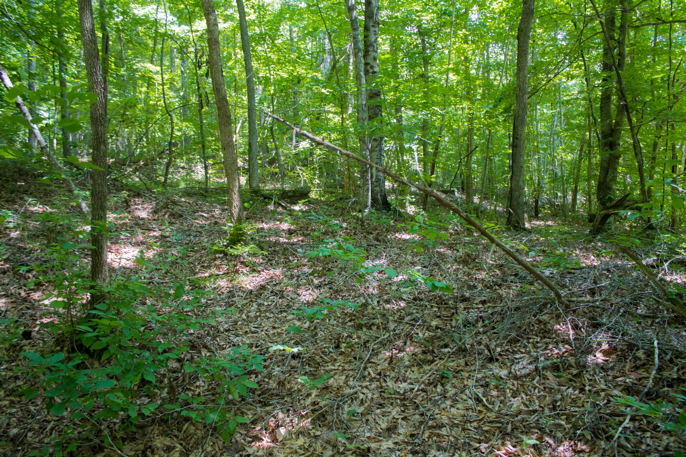 Bluewater Ridge Tract 4 photo 3