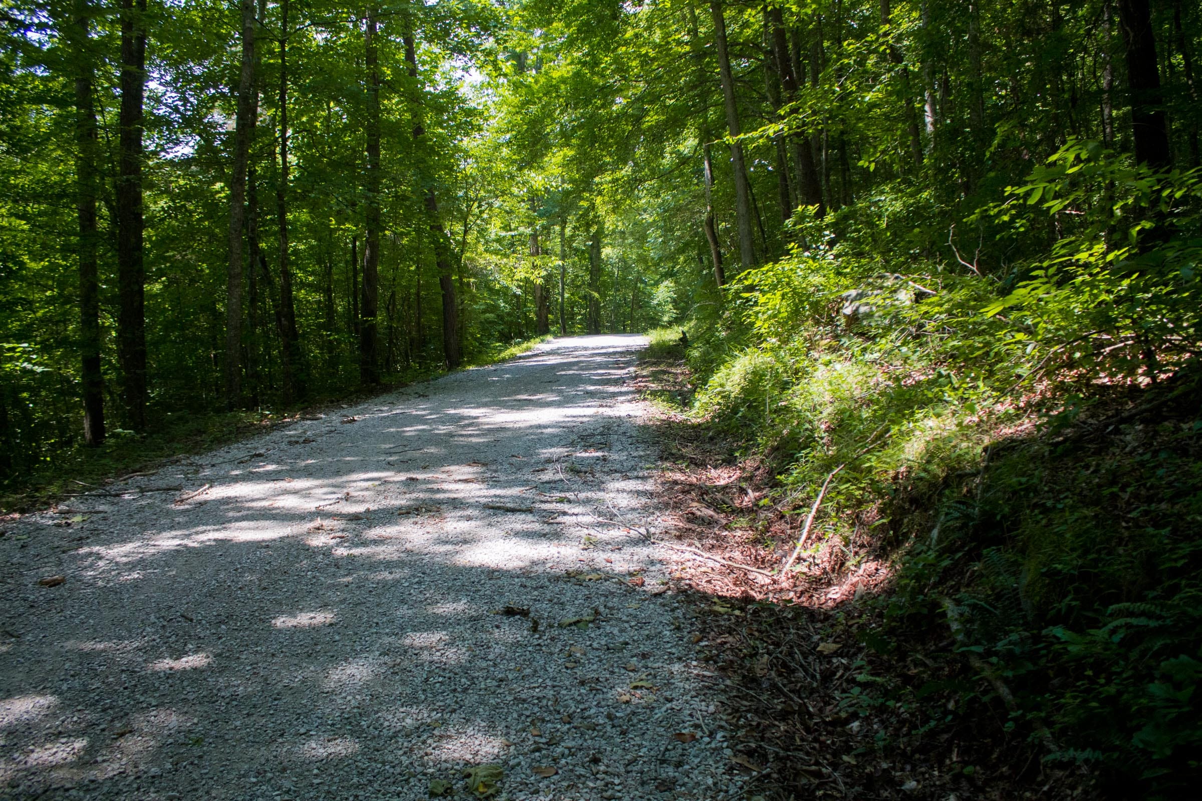 Bluewater Ridge Tract 4 photo 5
