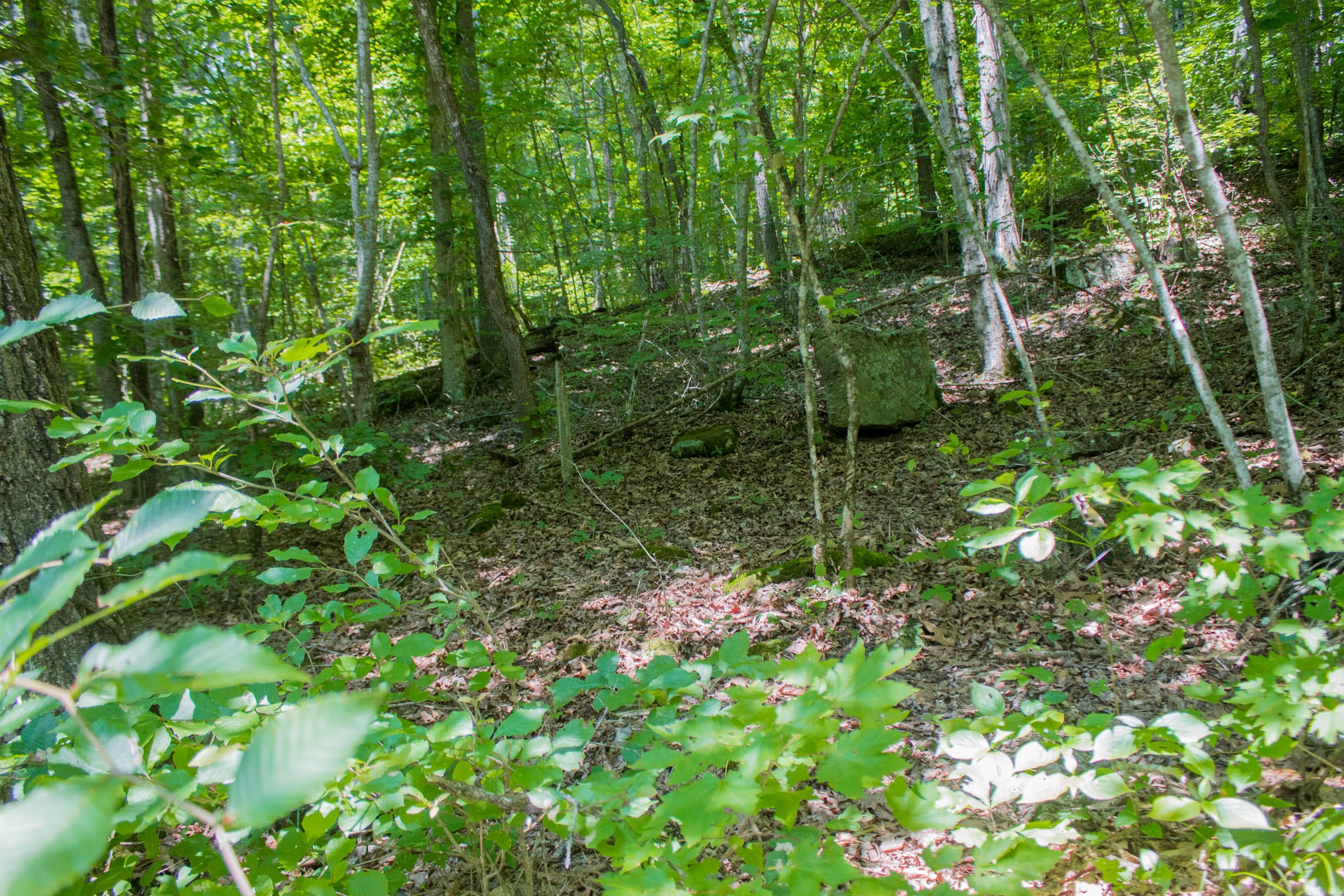 Bluewater Ridge Tract 4 photo 7