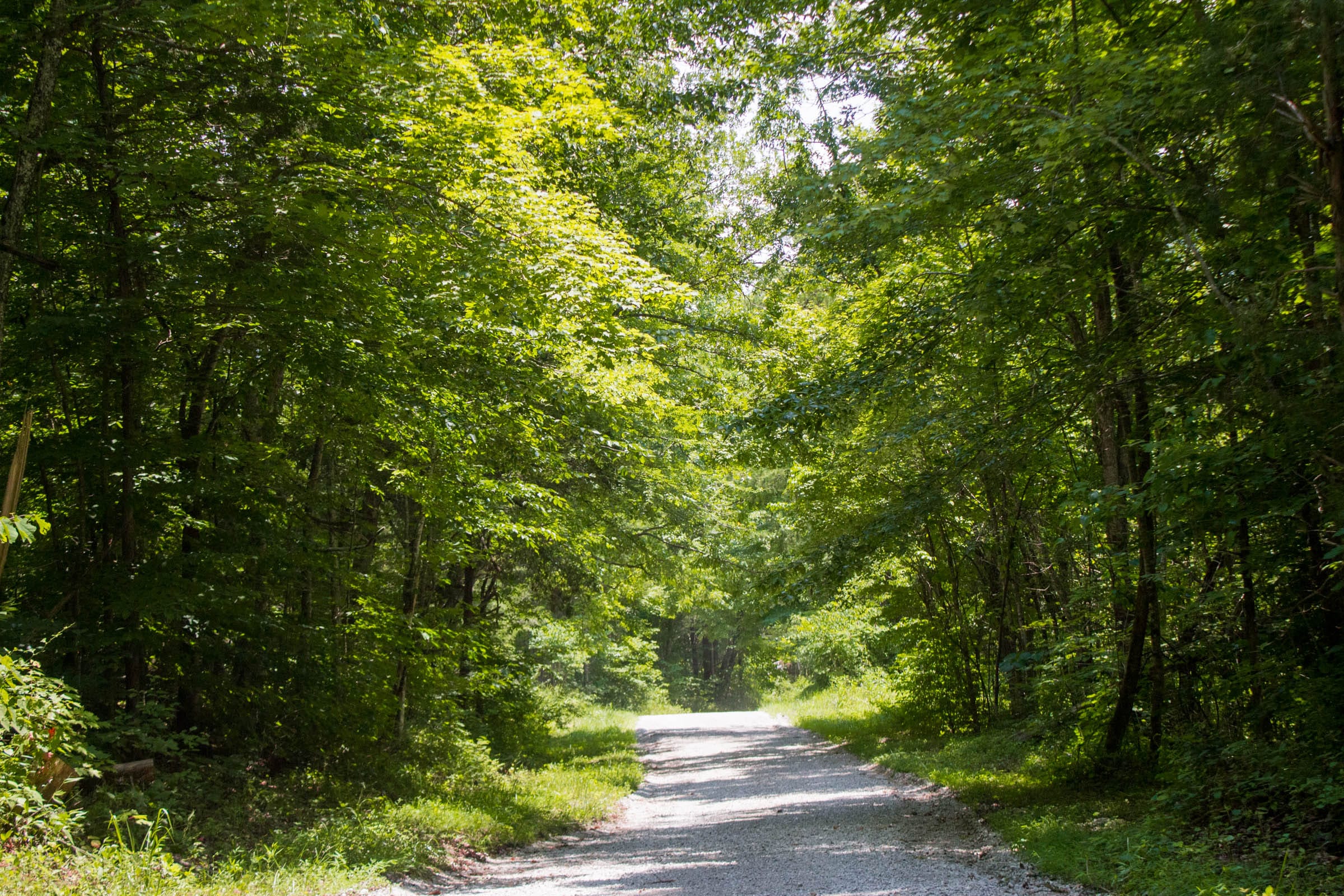 Bluewater Ridge Tract 4 photo 8