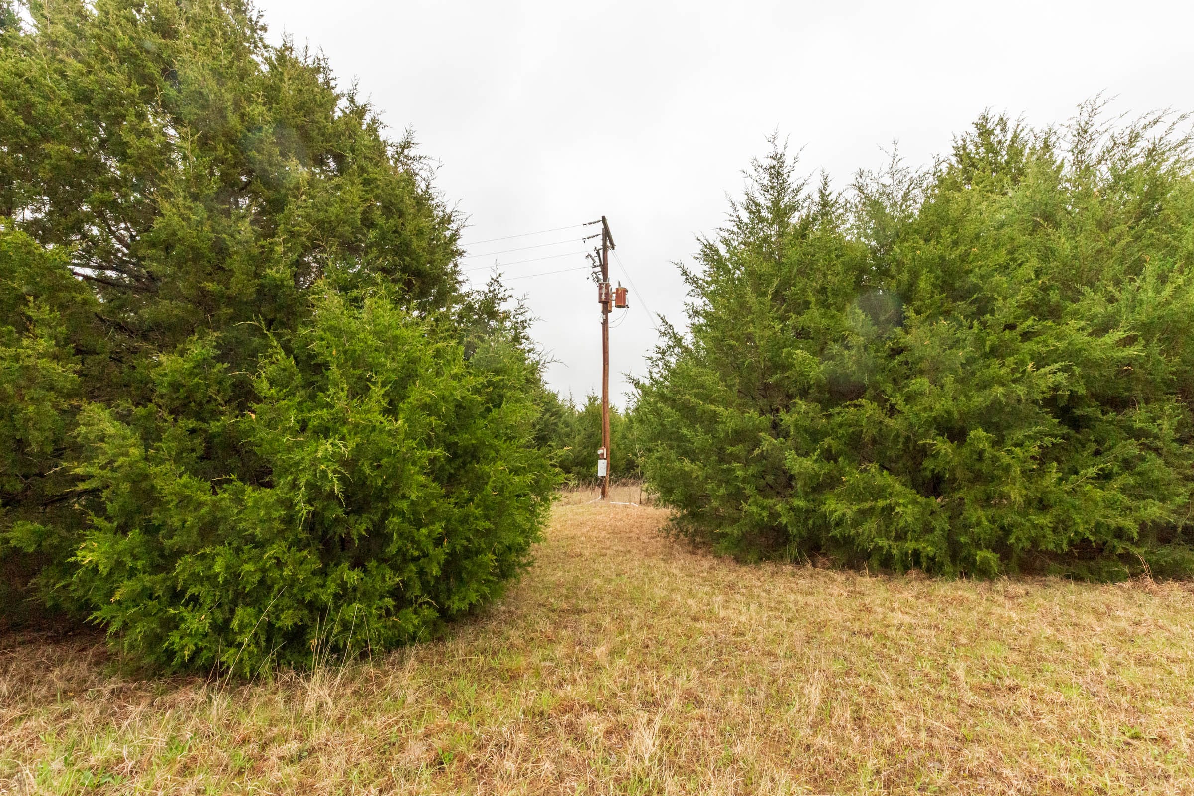 Moonrise Meadows Tract 3 photo 2