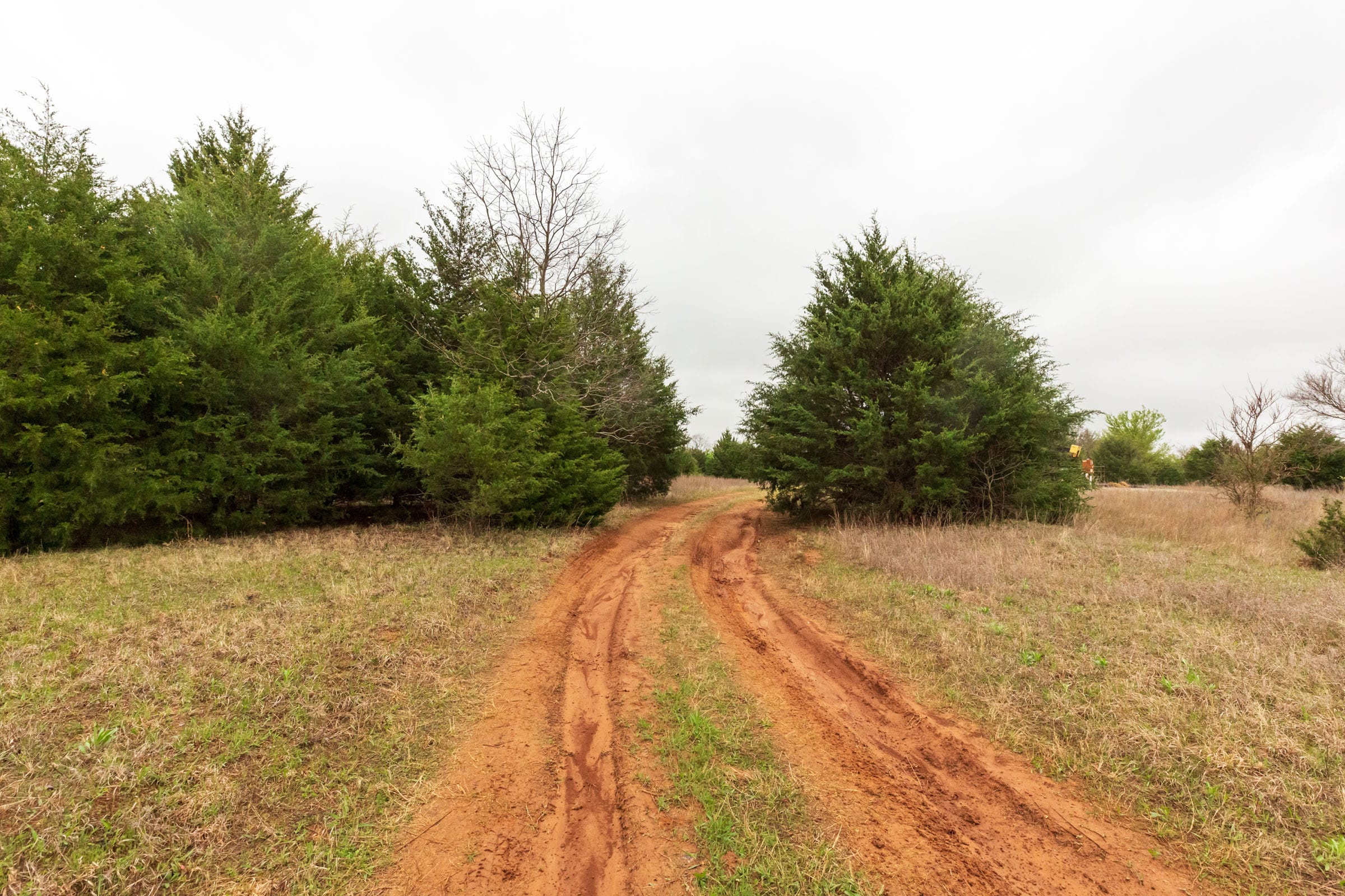 Moonrise Meadows Tract 3 photo 14