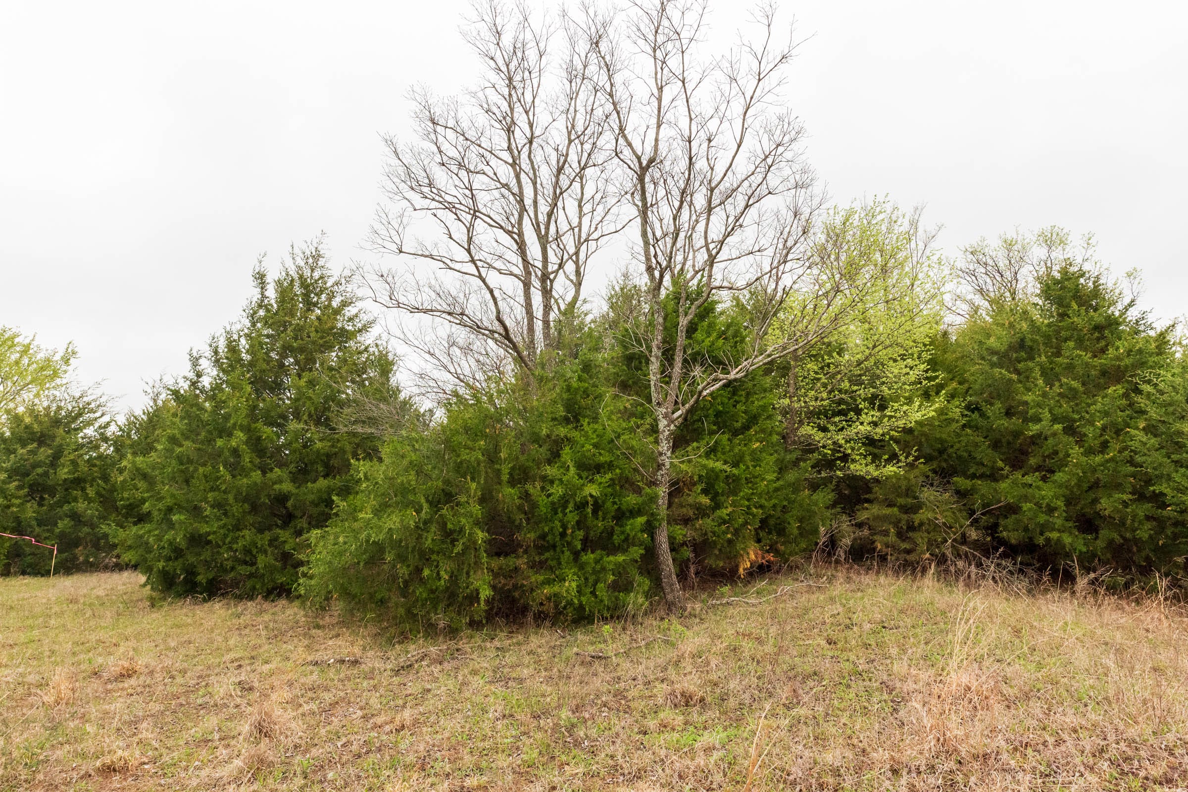 Moonrise Meadows Tract 3 photo 7