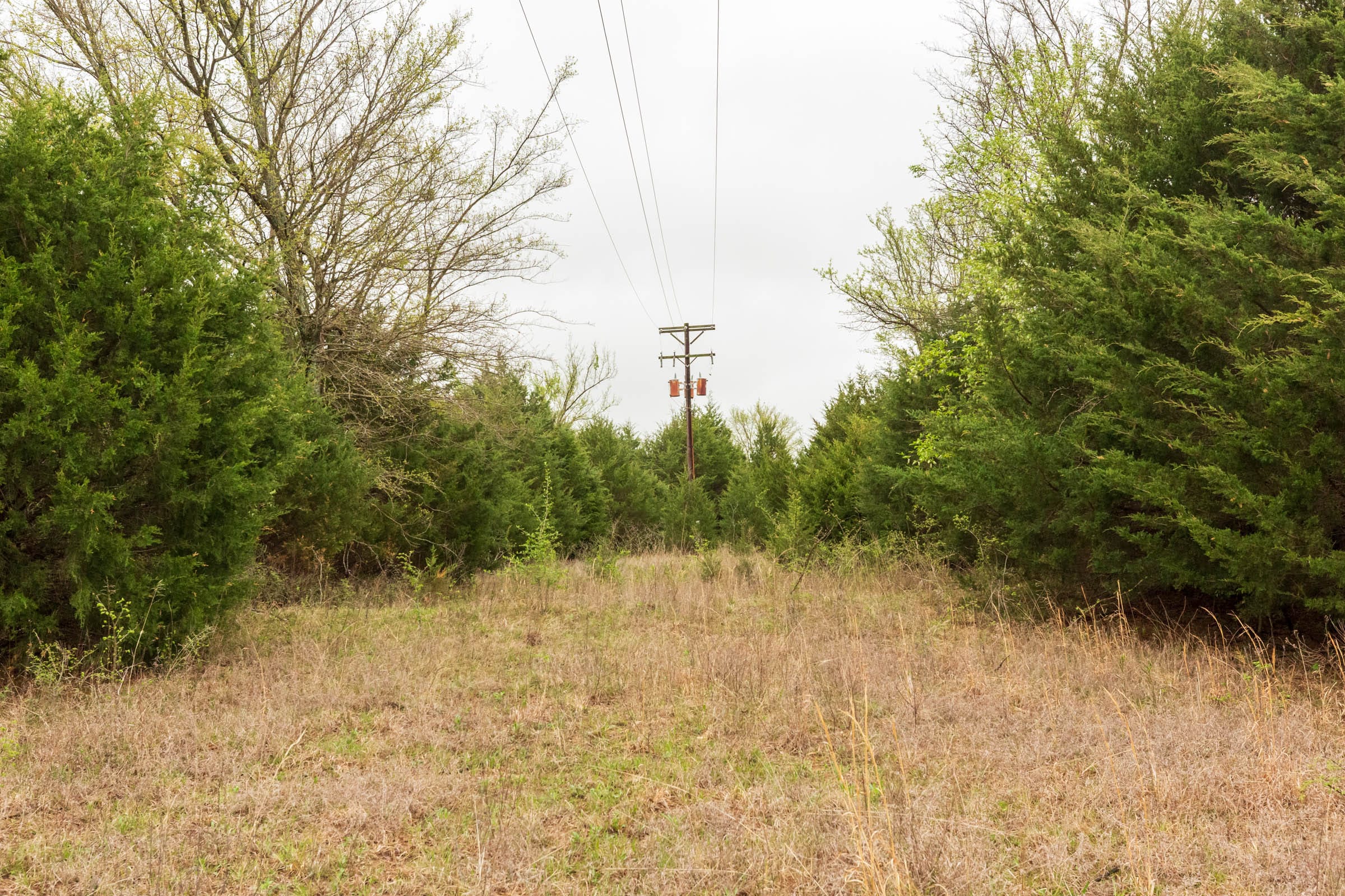 Moonrise Meadows Tract 3 photo 9