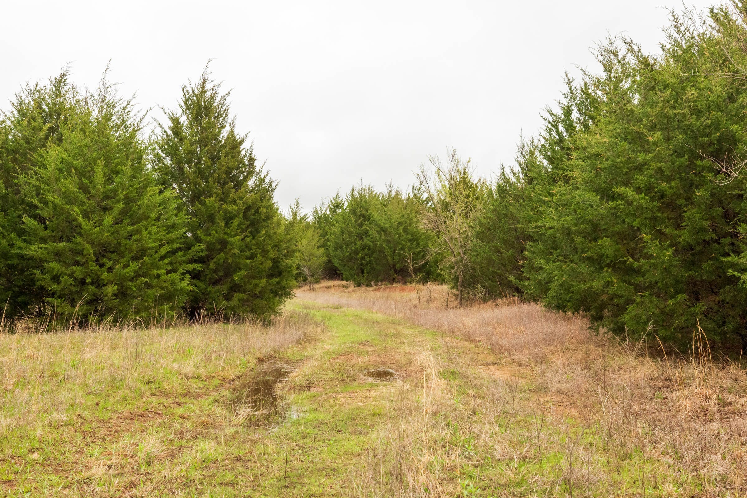 Moonrise Meadows Tract 3 photo 11